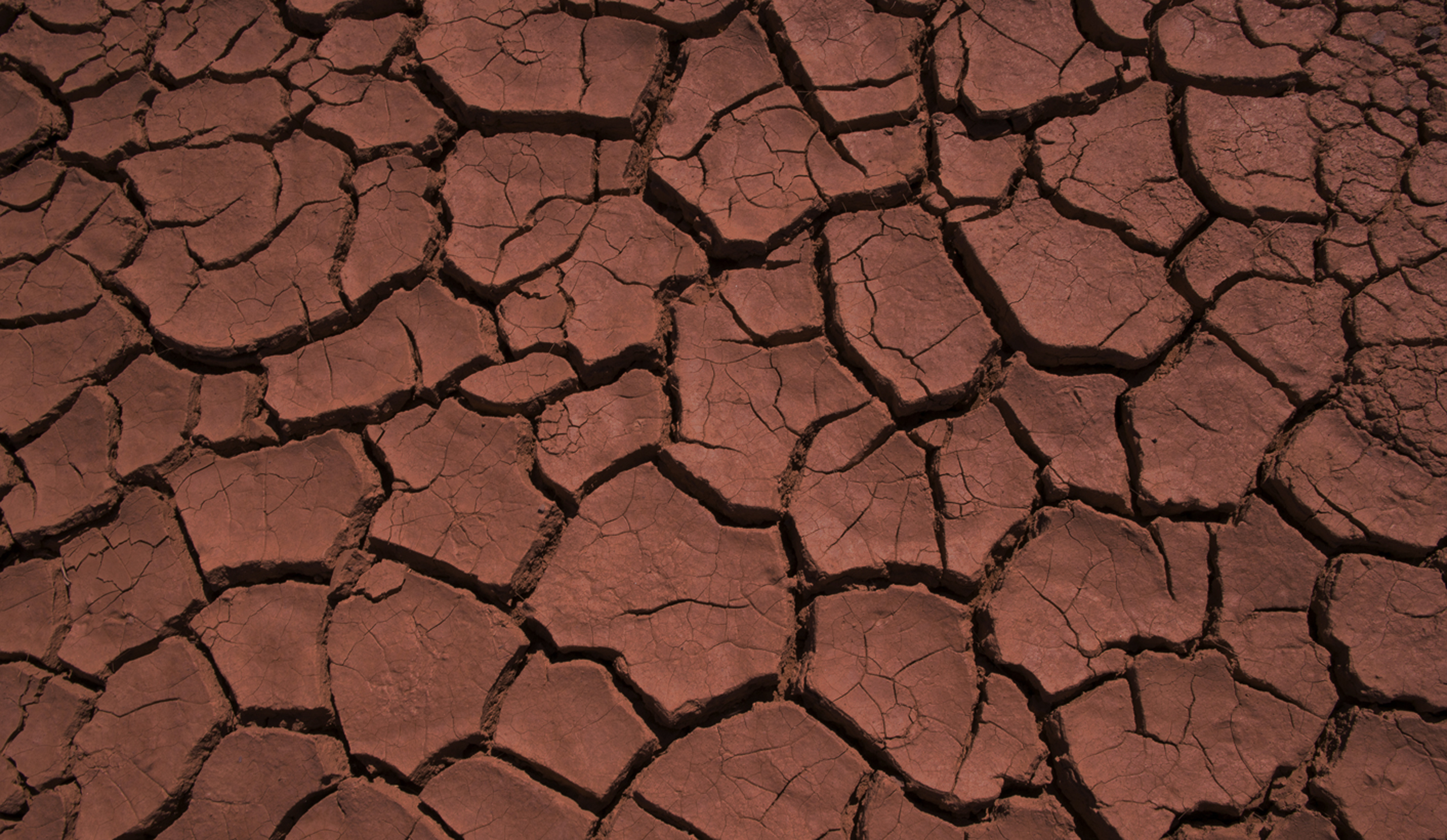 Amending the Constitution will force the government to act fast on land expropriation