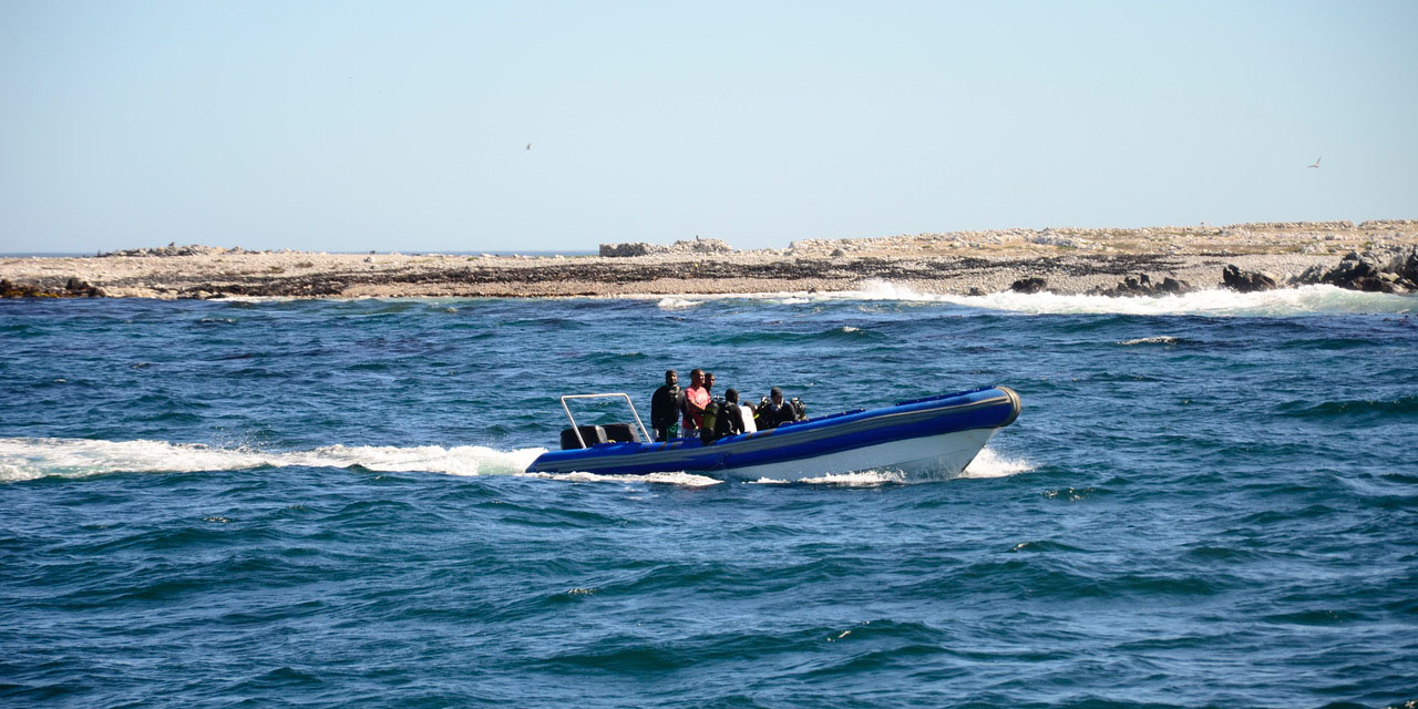 Where the ocean floor is raped while a patrol craft is laughed at
