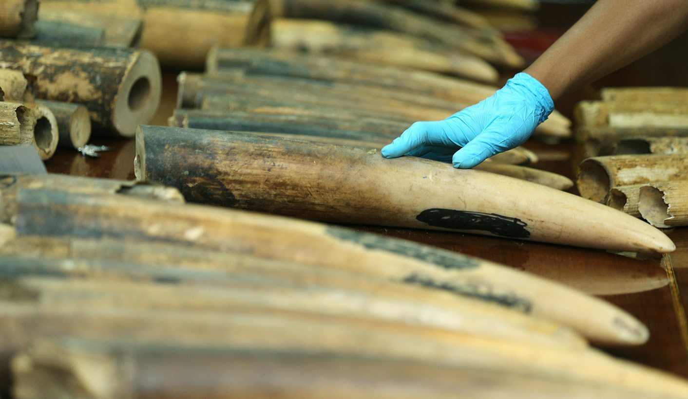 Growing illegal ivory market in Laos - African study