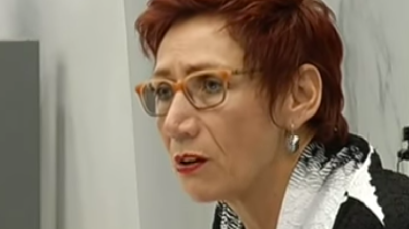 Former Denel chair warned Lynne Brown against wholesale board changes