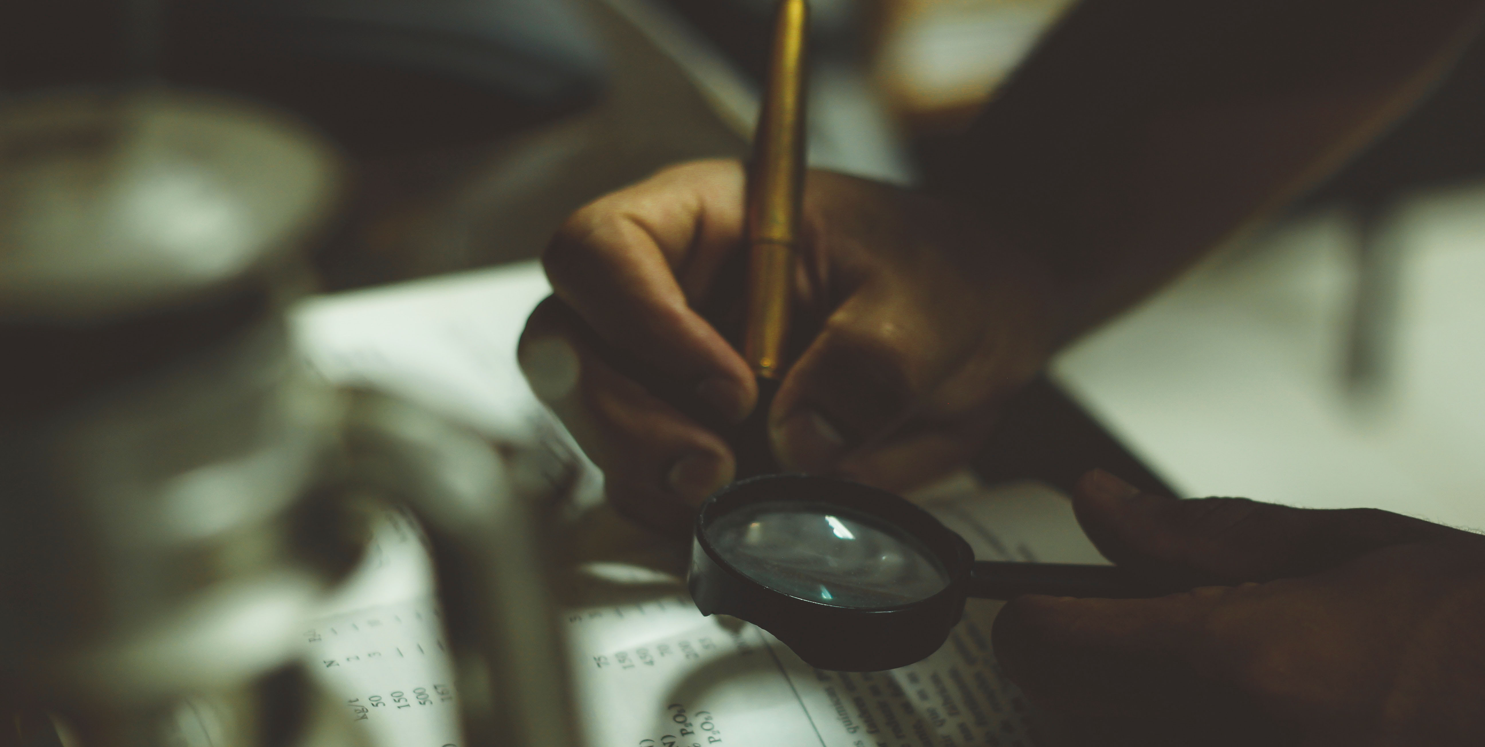 Independence will sharpen the teeth of SA’s Special Investigating Unit