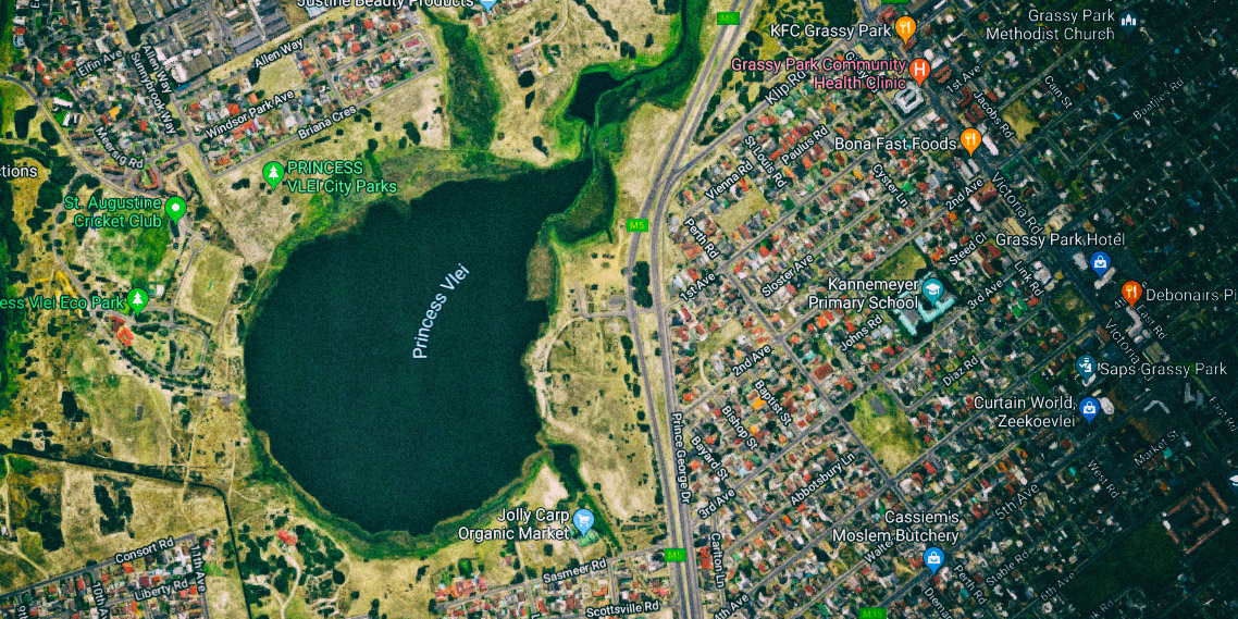 The ‘airbags’ that can fend off climate shocks