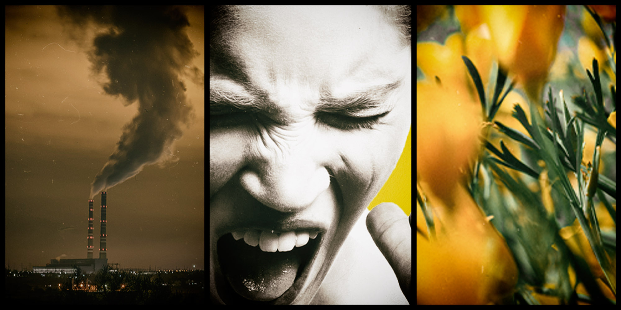 Climate activists: Canaries in the coal mine of mental health decline