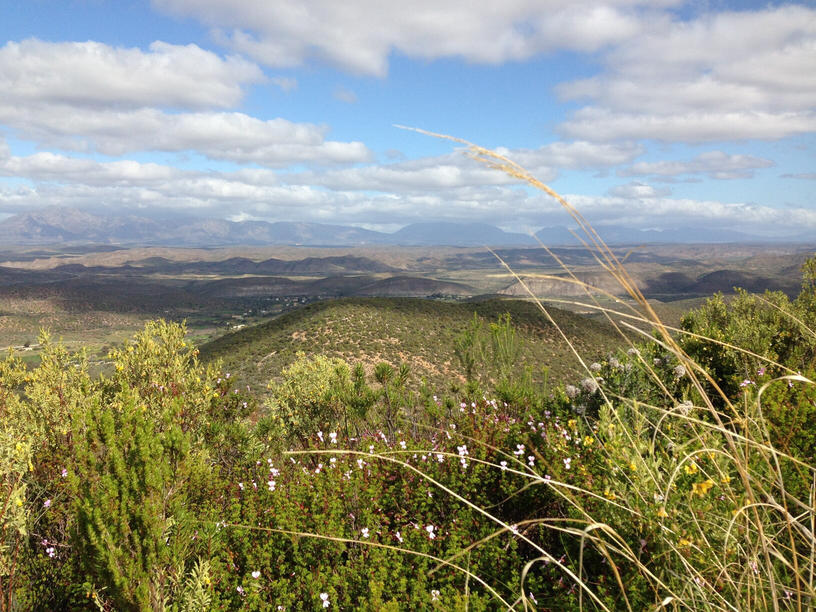 Bankrupt municipality’s R735-million electricity plan raises hopes — and eyebrows