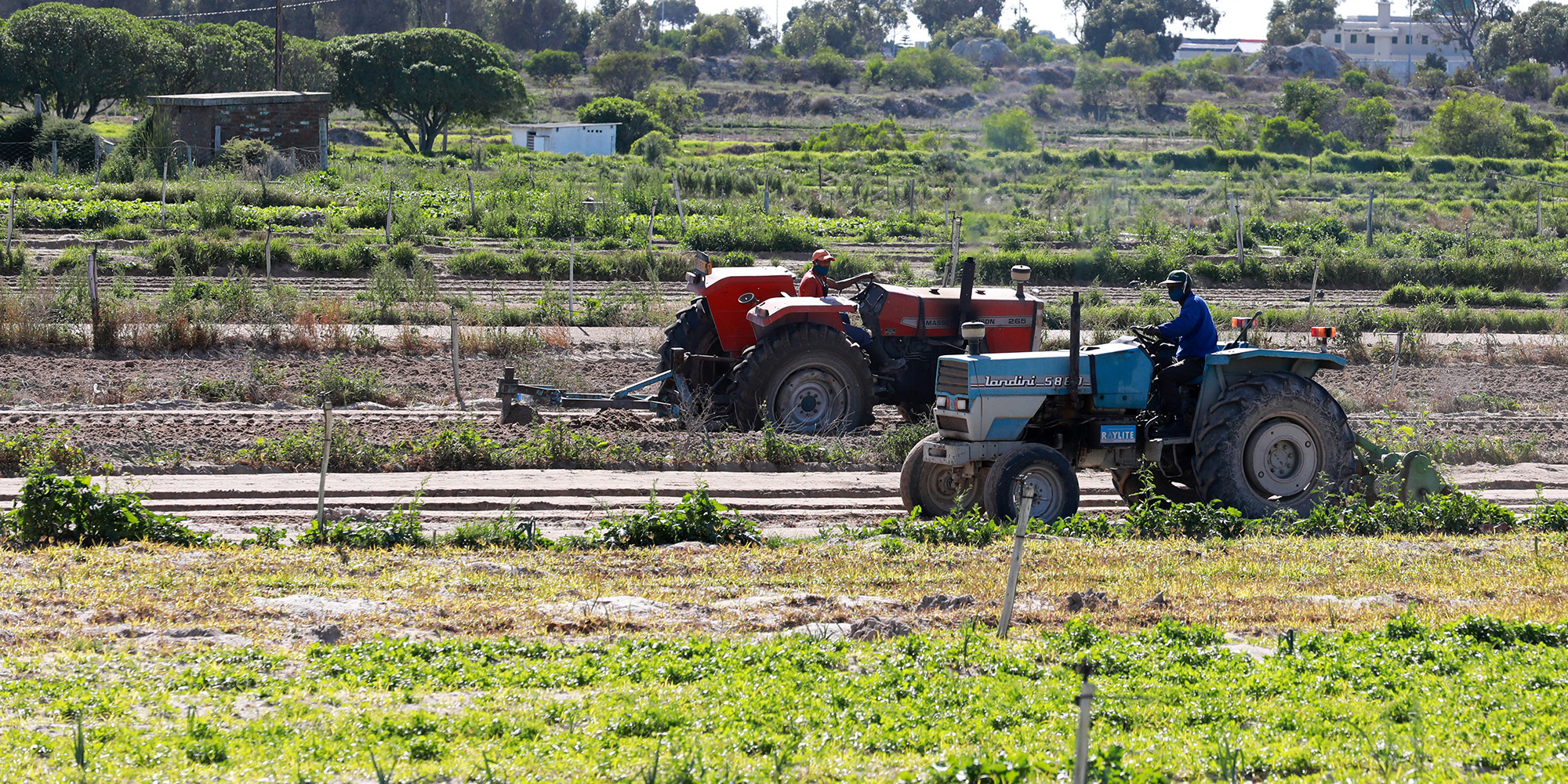 City overrides objections and votes to sell Plattekloof land, approves Philippi Agri-hub Project