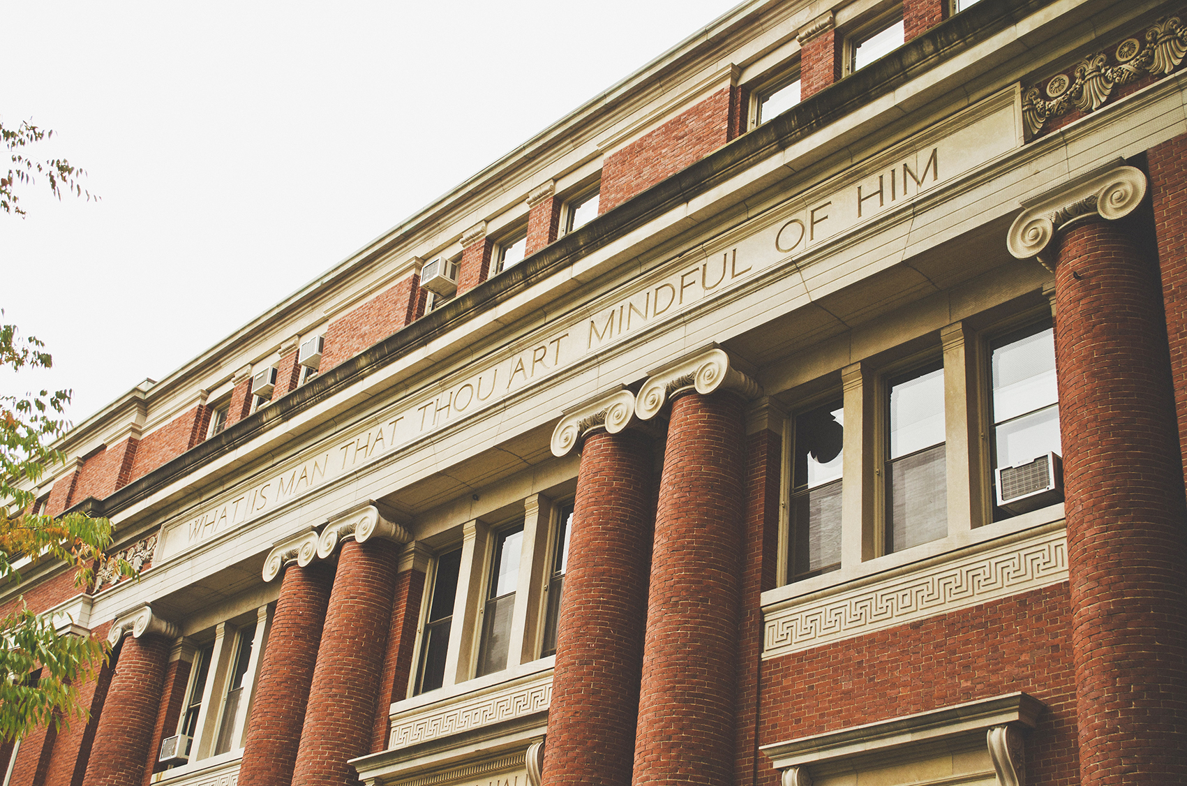 Harvard (the real one) distances itself from Auxillia Mnangagwa ‘honour’