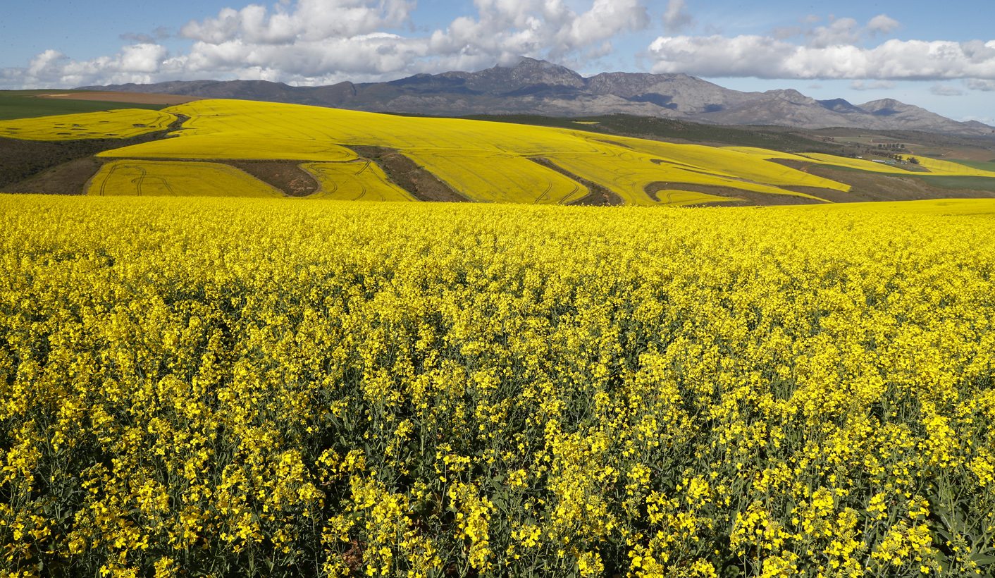 Letter to the Editor: A future history of expropriation