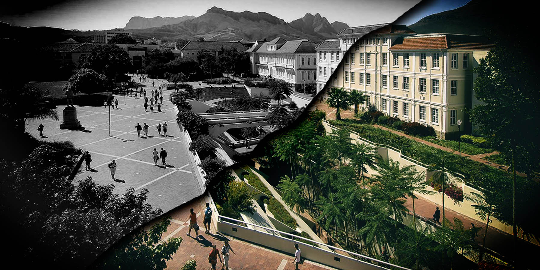 Stellenbosch University rocked by disputes over language policy