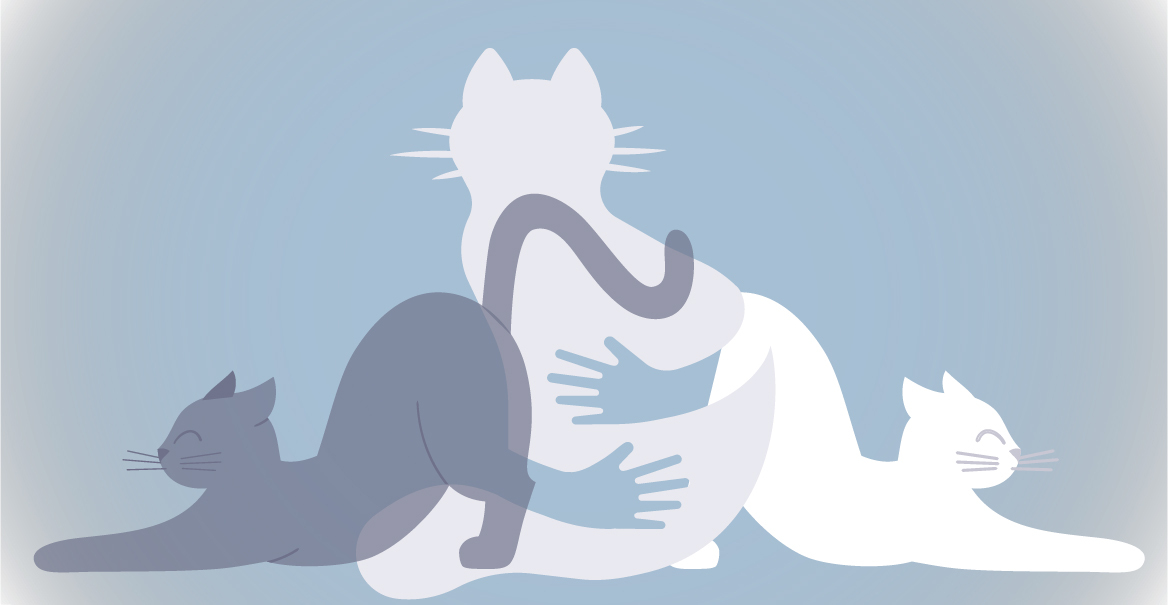 The cats I’ve loved and lost