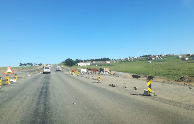 Wild Coast community battles Sanral and Gwede Mantashe