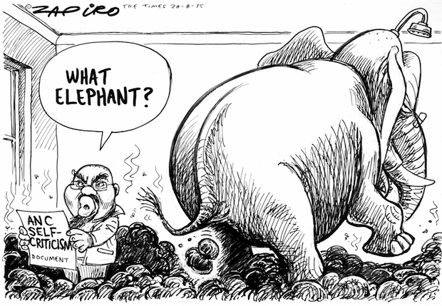 ANC - Self-criticism