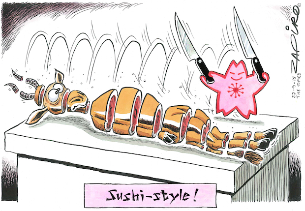 Springbok - Sushi Style