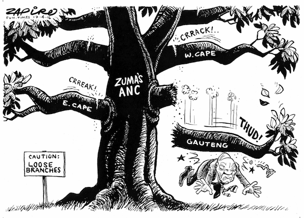 Zuma's ANC - Caution: Loose Branches