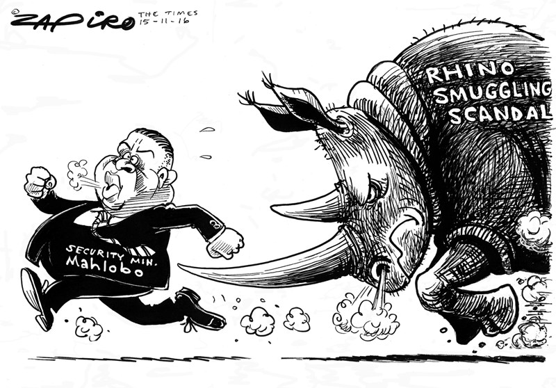 Rhino smuggling scandal
