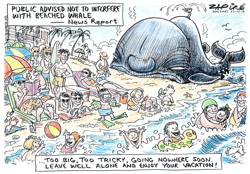 Beached Whale