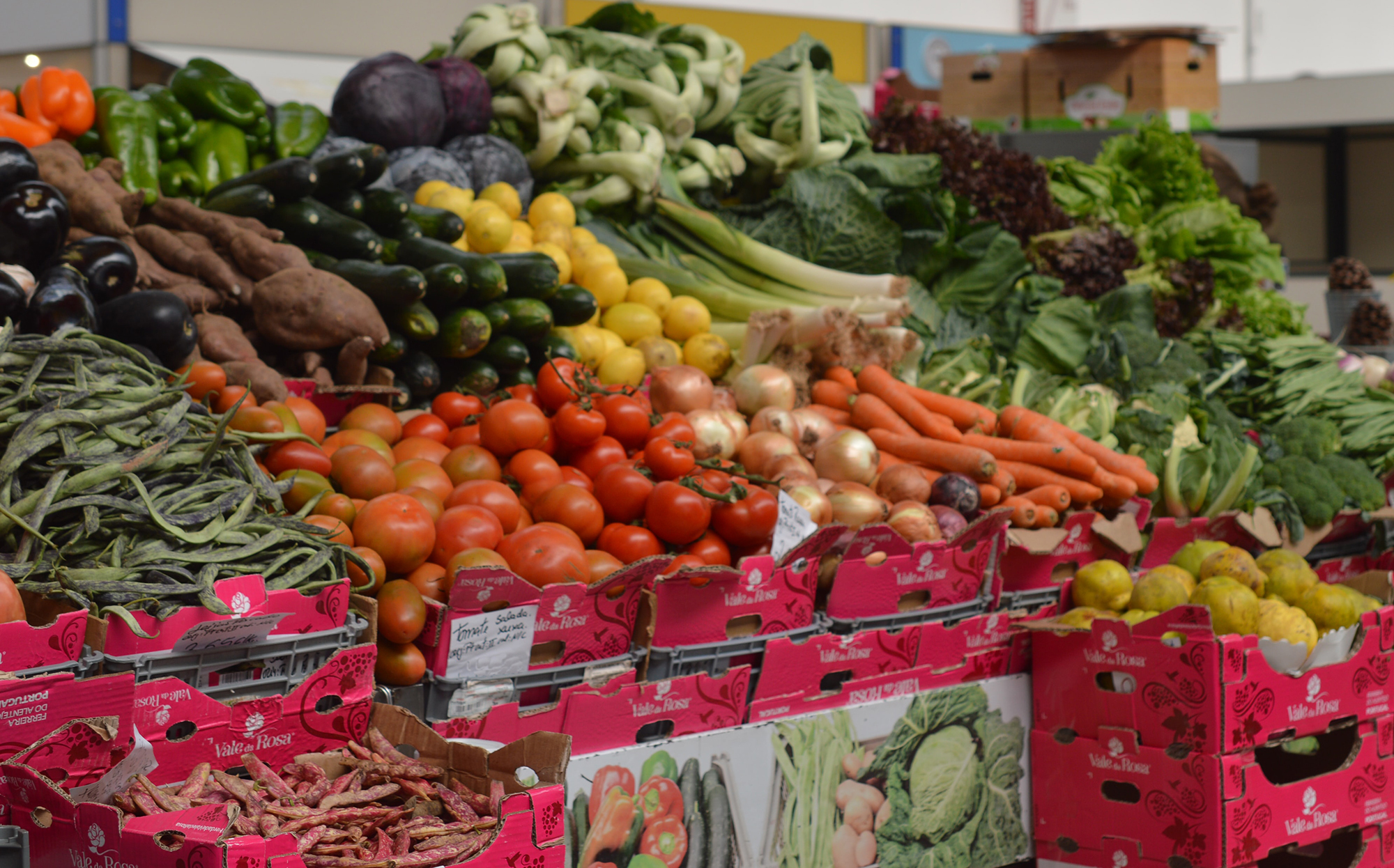 SA must move towards a democratised and recalibrated food system