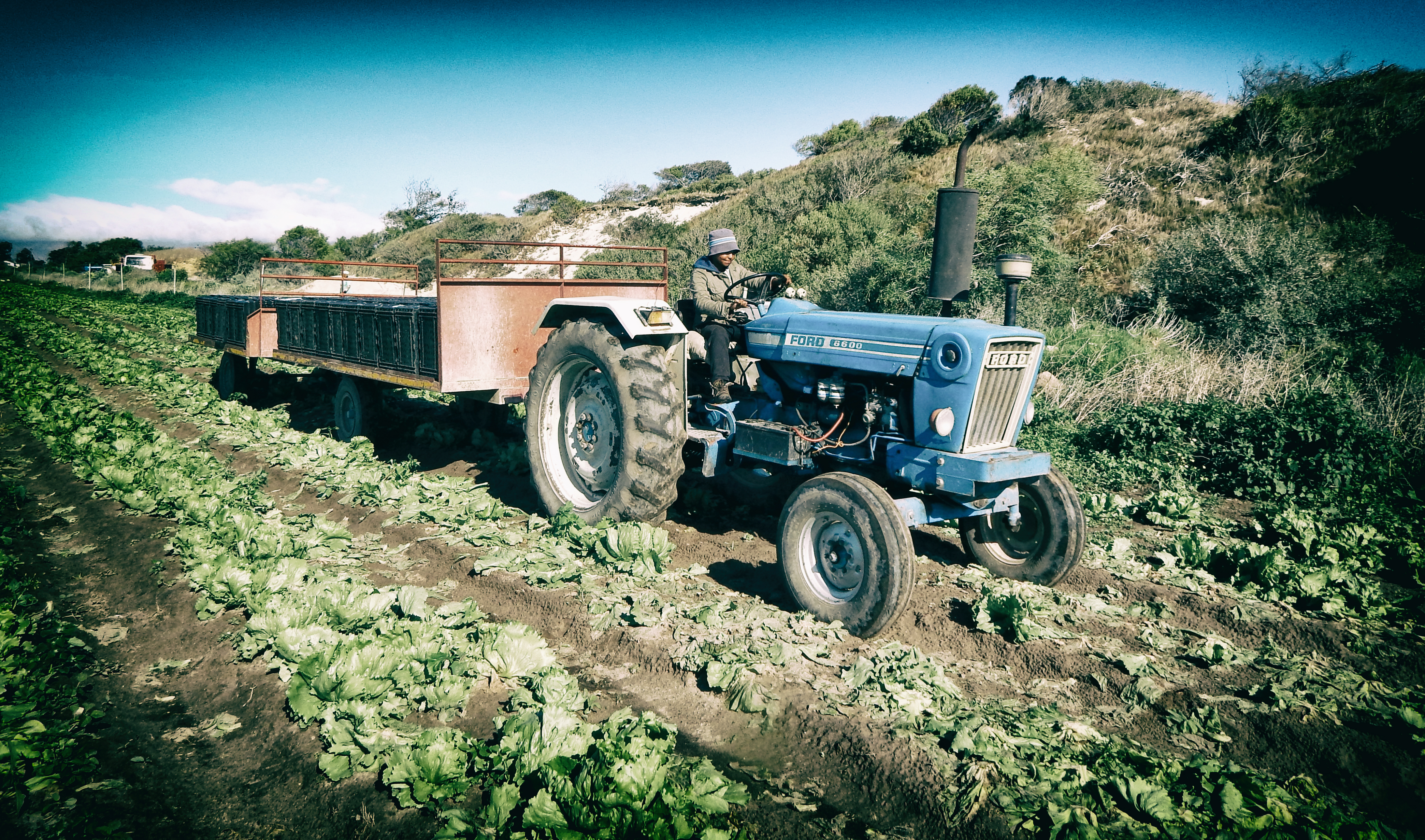 Findings of new study unequivocal – protect the horticultural haven