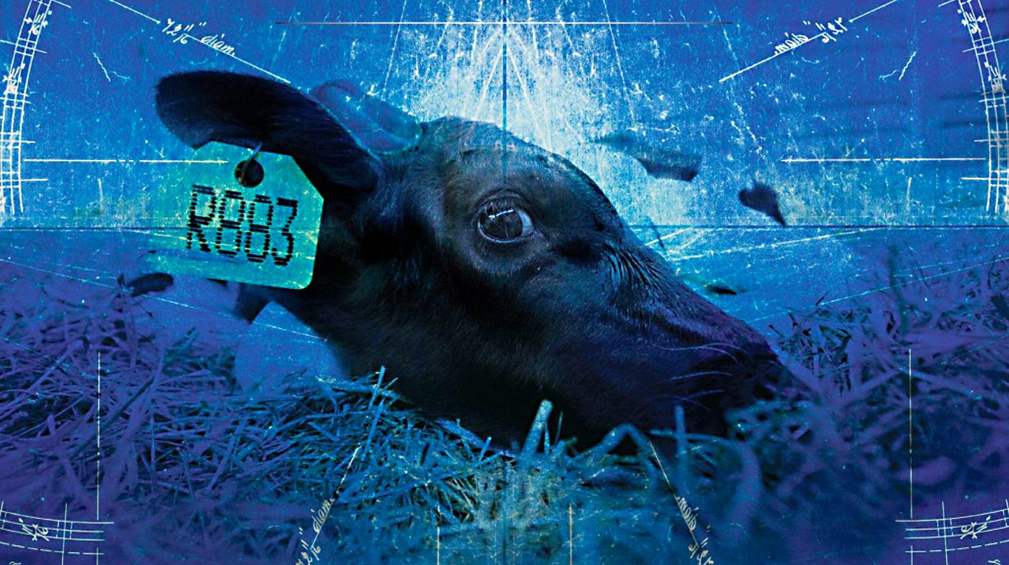 Film review: 'The Ghosts in Our Machine'