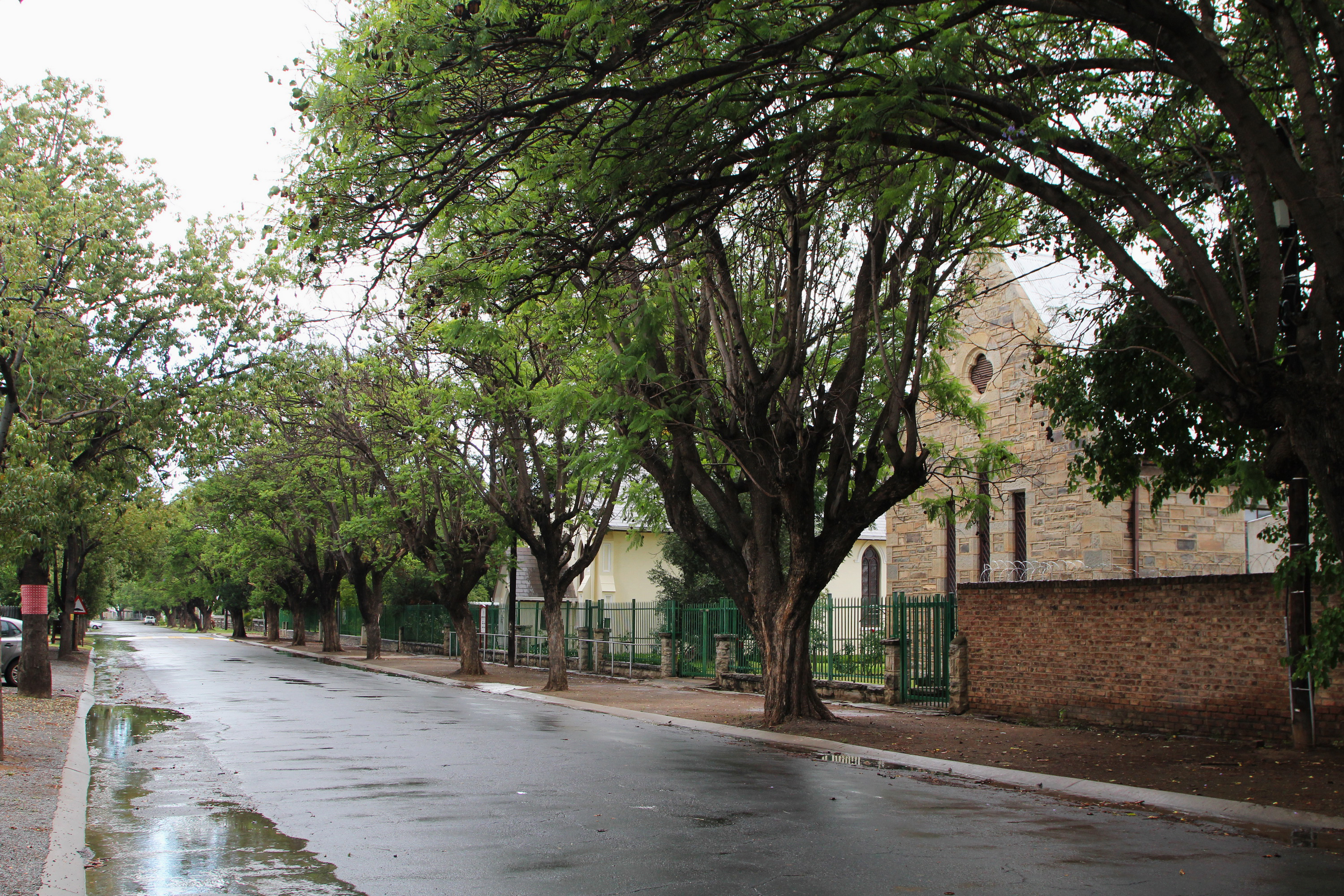 Karoo Music: The Sound of Rain on a Cool Tin Roof