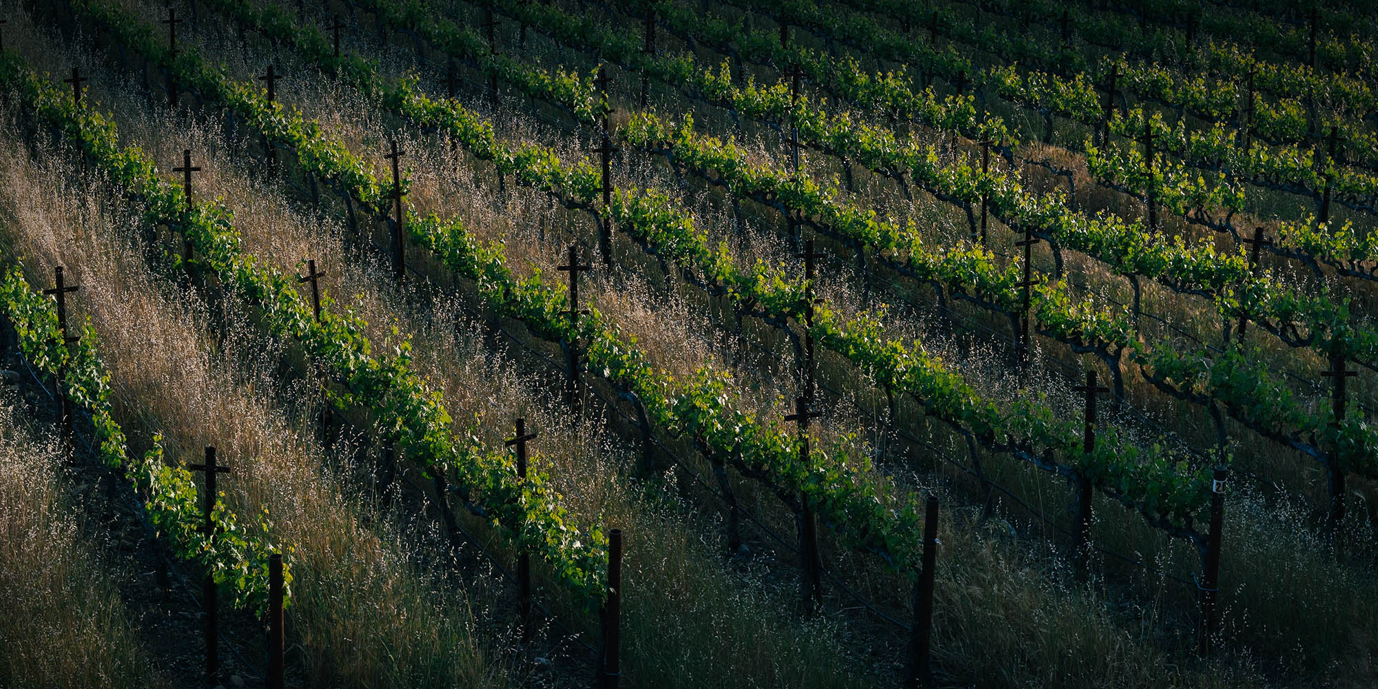 Land reform report is big on historical context, sketchy on the future