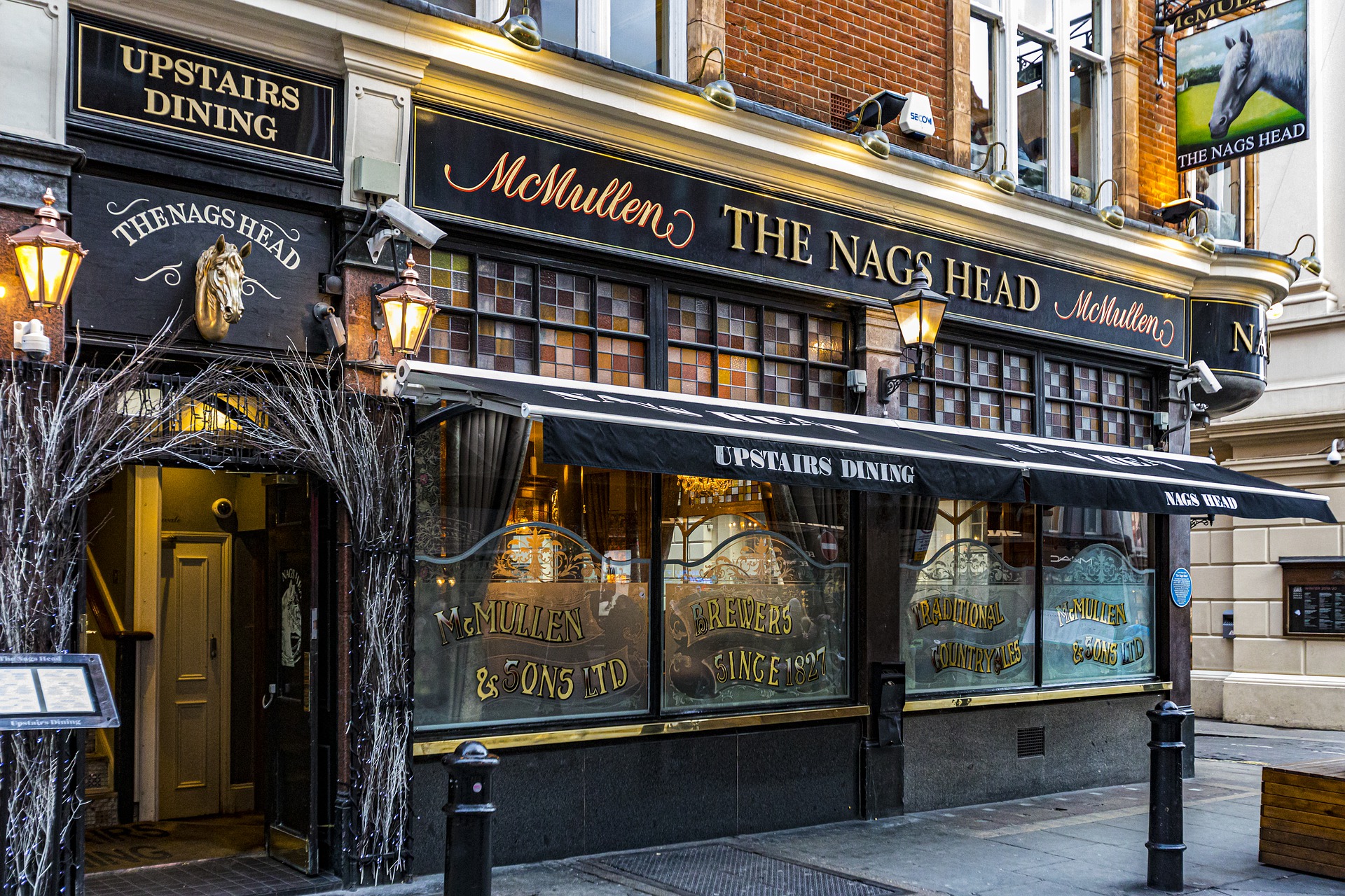 Beyond the Stainless Blue: Out of Africa, into the Rabbit Hole