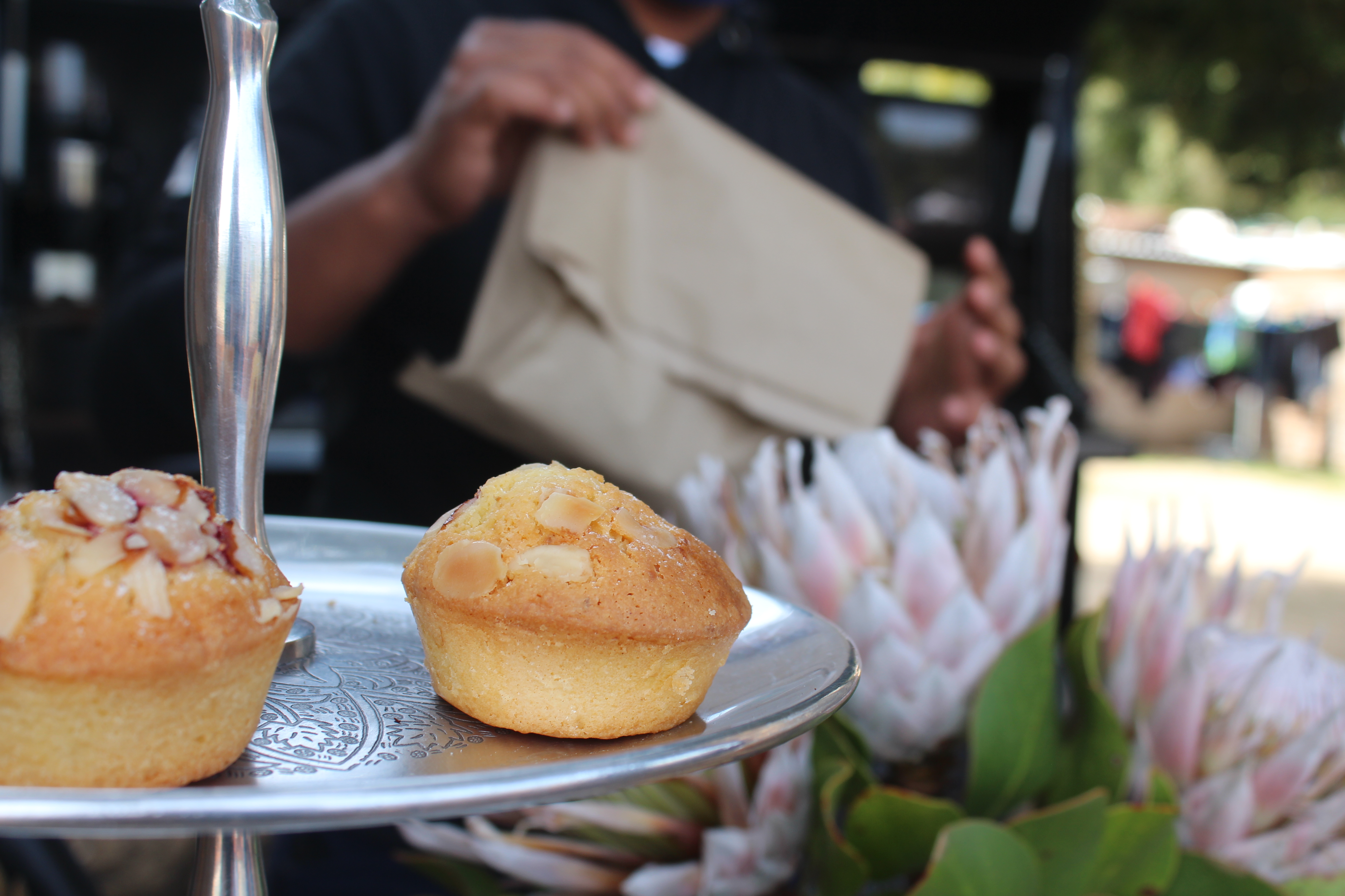 Happiness and Java in the woods