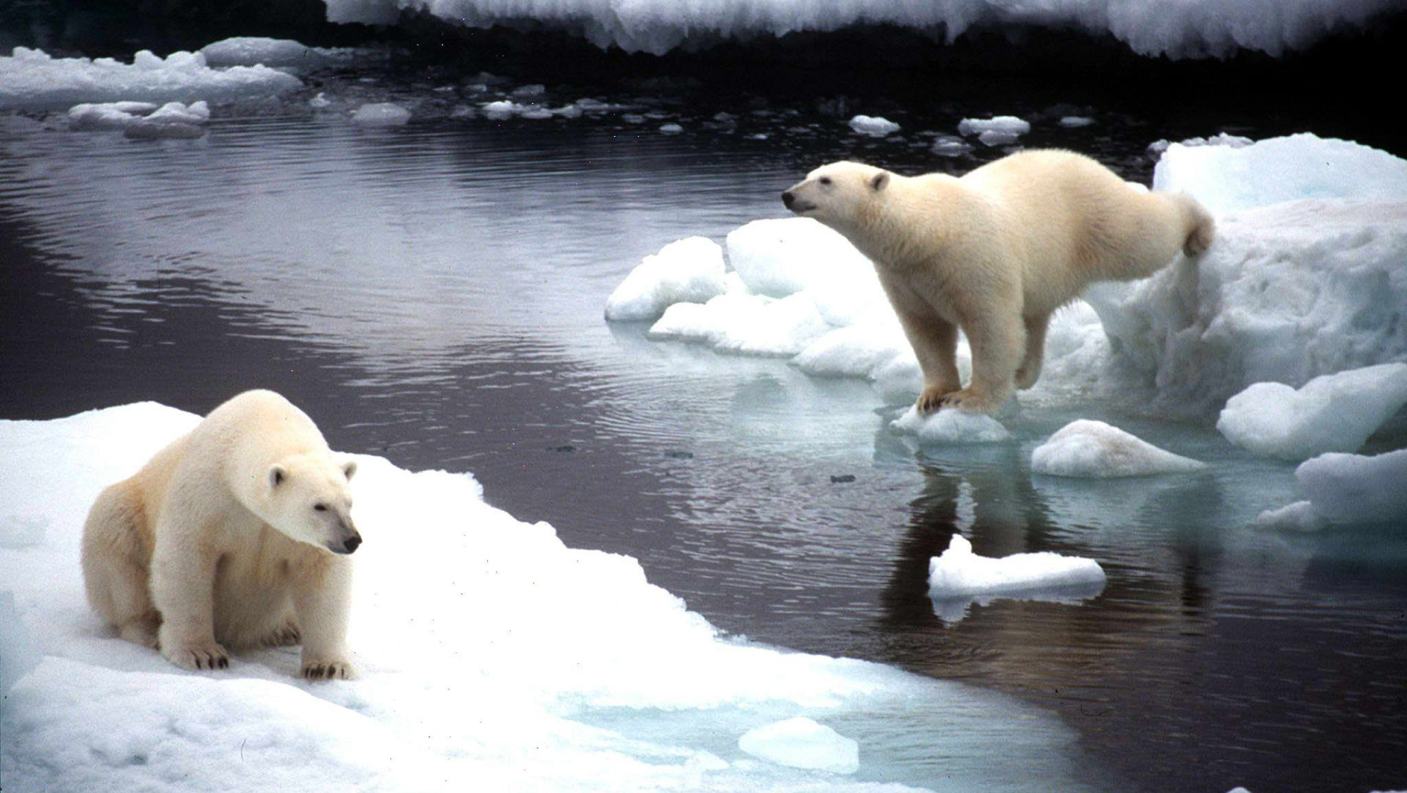 The lack of political will: The biggest hurdle to averting climate disaster