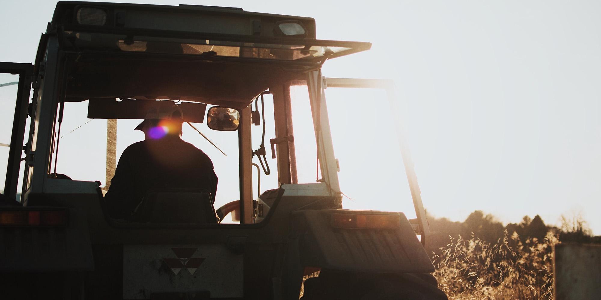 Constitutional amendment process for expropriation without compensation is revived