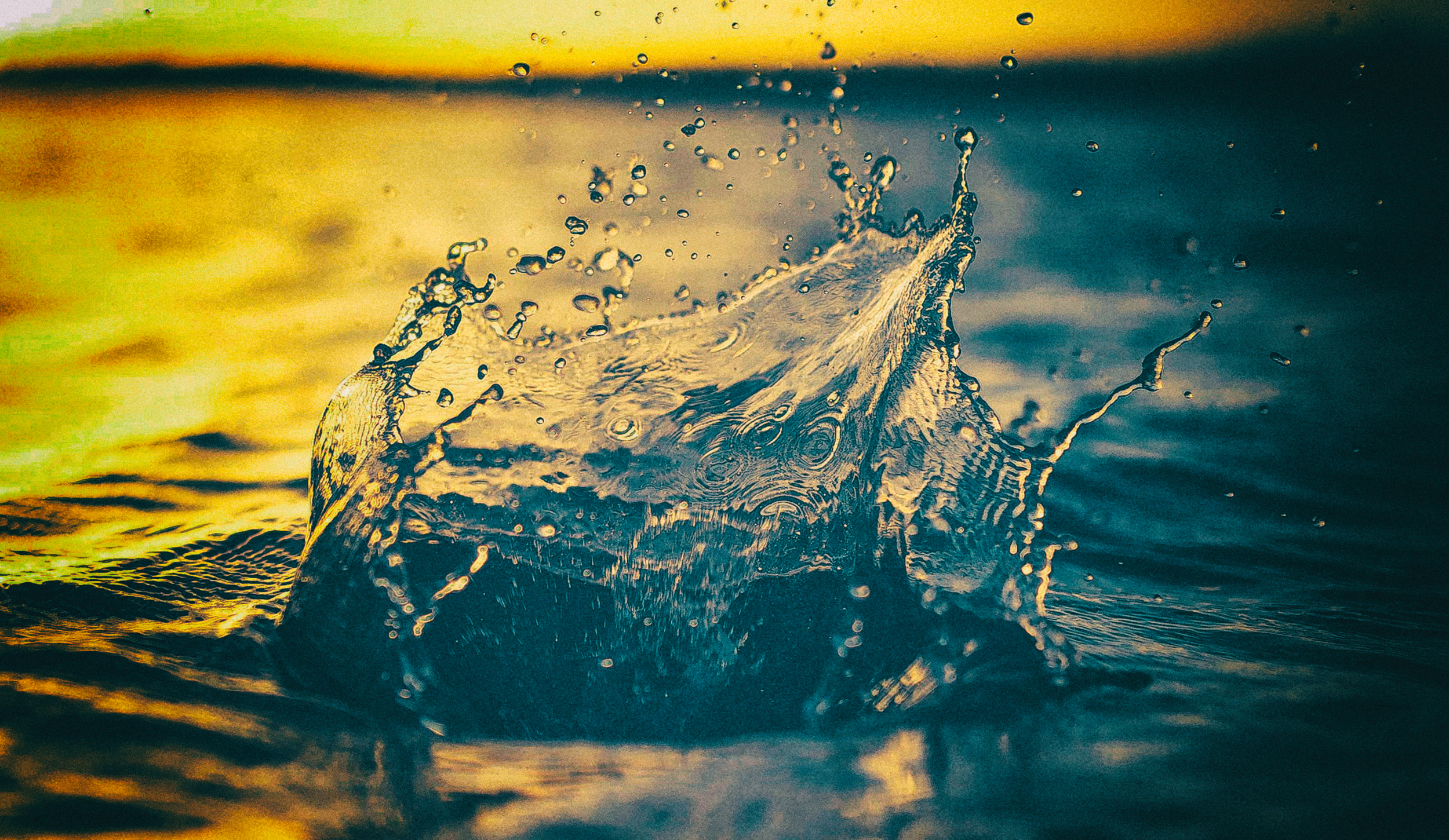 Dire straits for municipalities as their deposits in VBS mutual bank may be unrecoverable