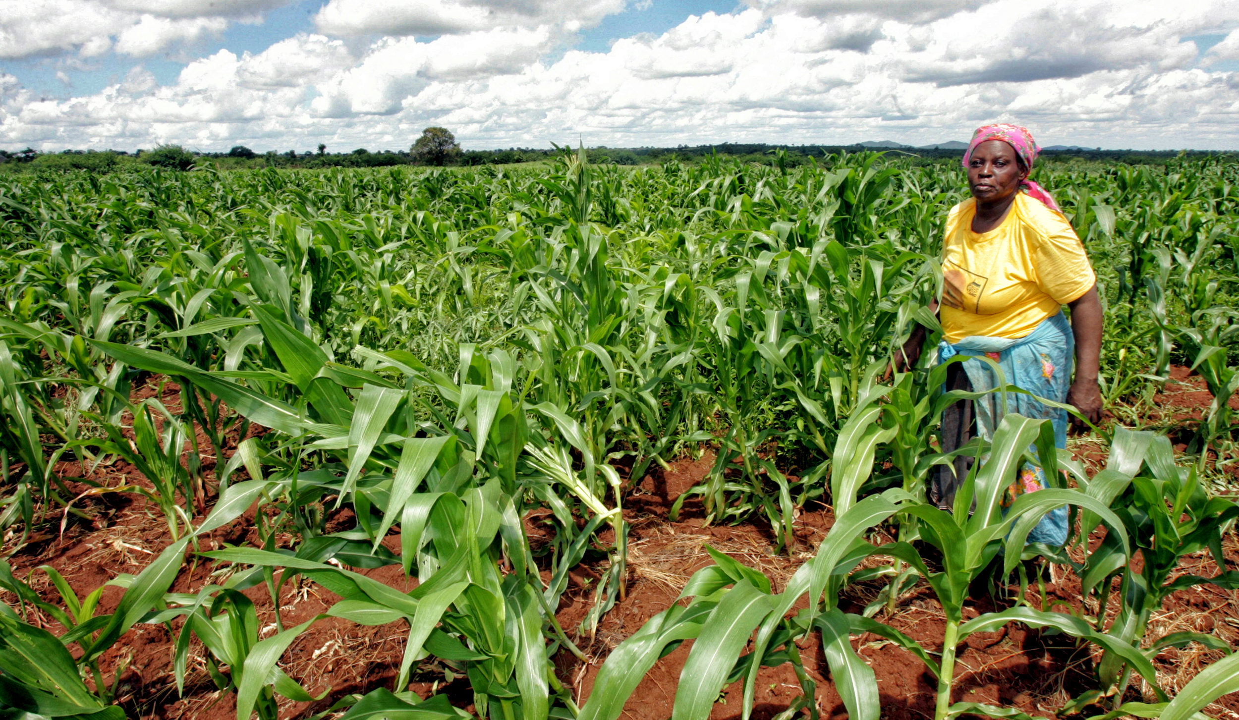 The land reform show — now on at Parliament
