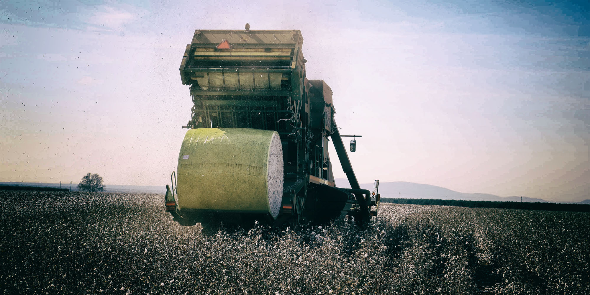 Politics in the time of expropriation without compensation