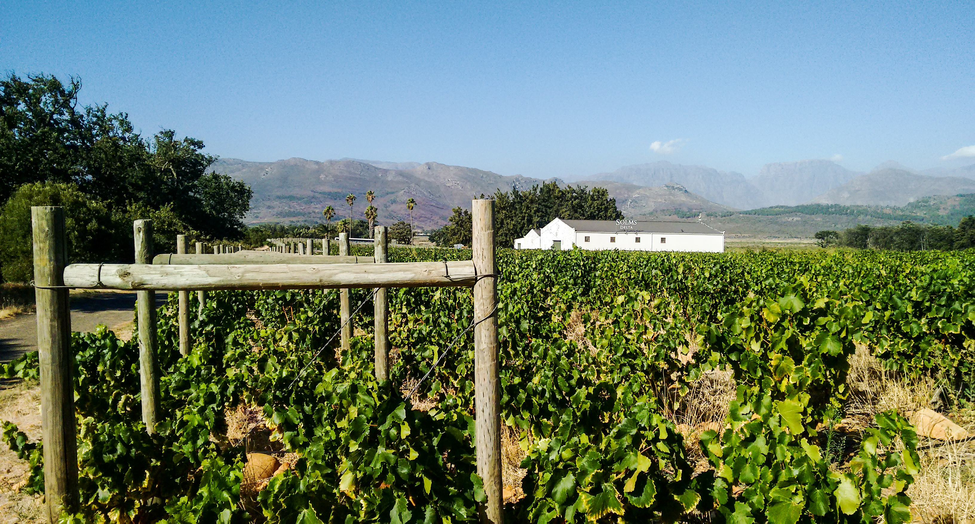 Land question at the heart of Solms-Delta as liquidation looms again