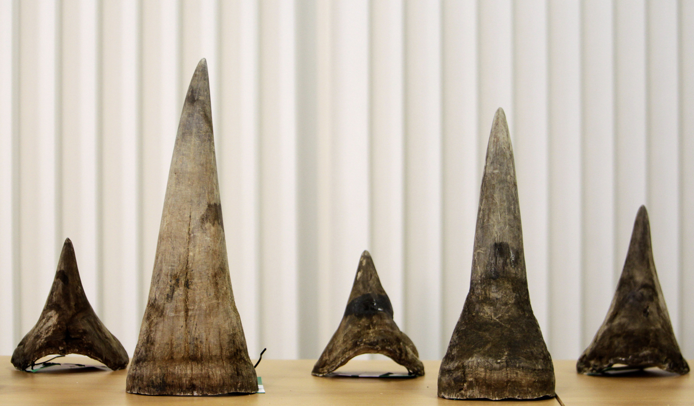 Horn of contention: pro-trade thinking comes in for criticism