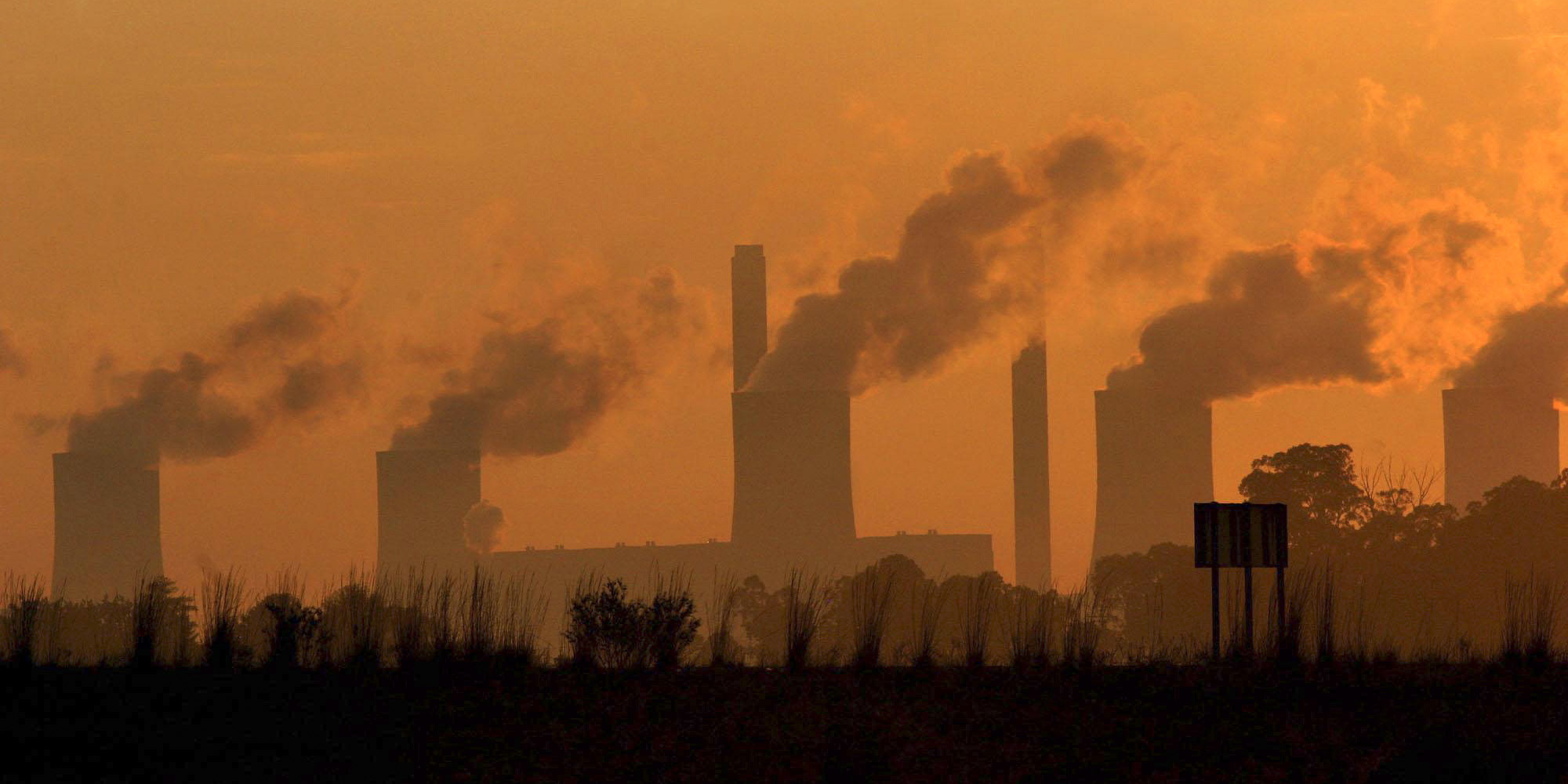 Pollution adds to Covid-19 deaths, say scientists