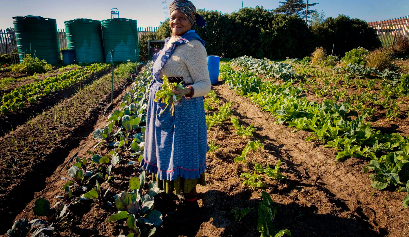 ParlyBeat: Billions needed for food security plan, MPs hear