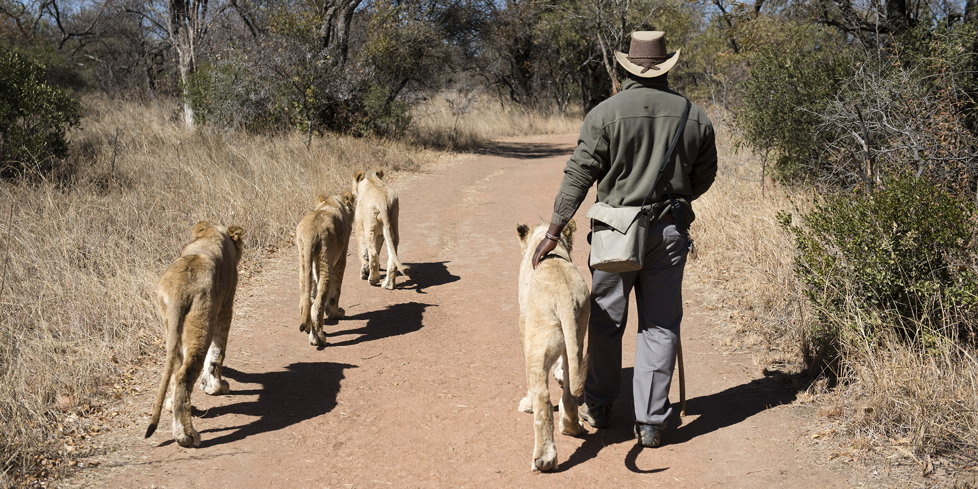 Trophy Hunting, Part Two: End of the game