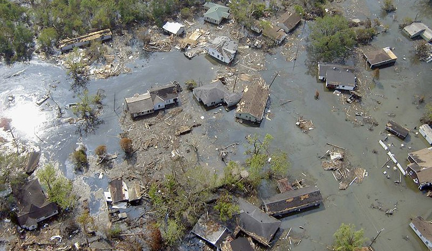 Citizens clean up: researchers protect birds after BP oil spill