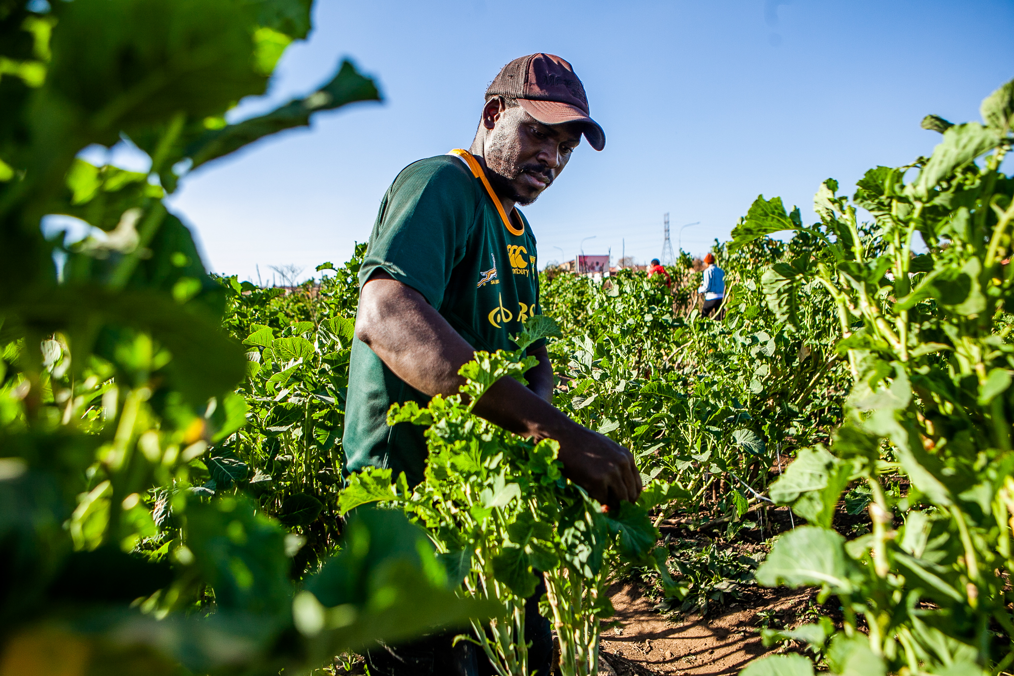 Expropriation and class bias — the great unmentionable