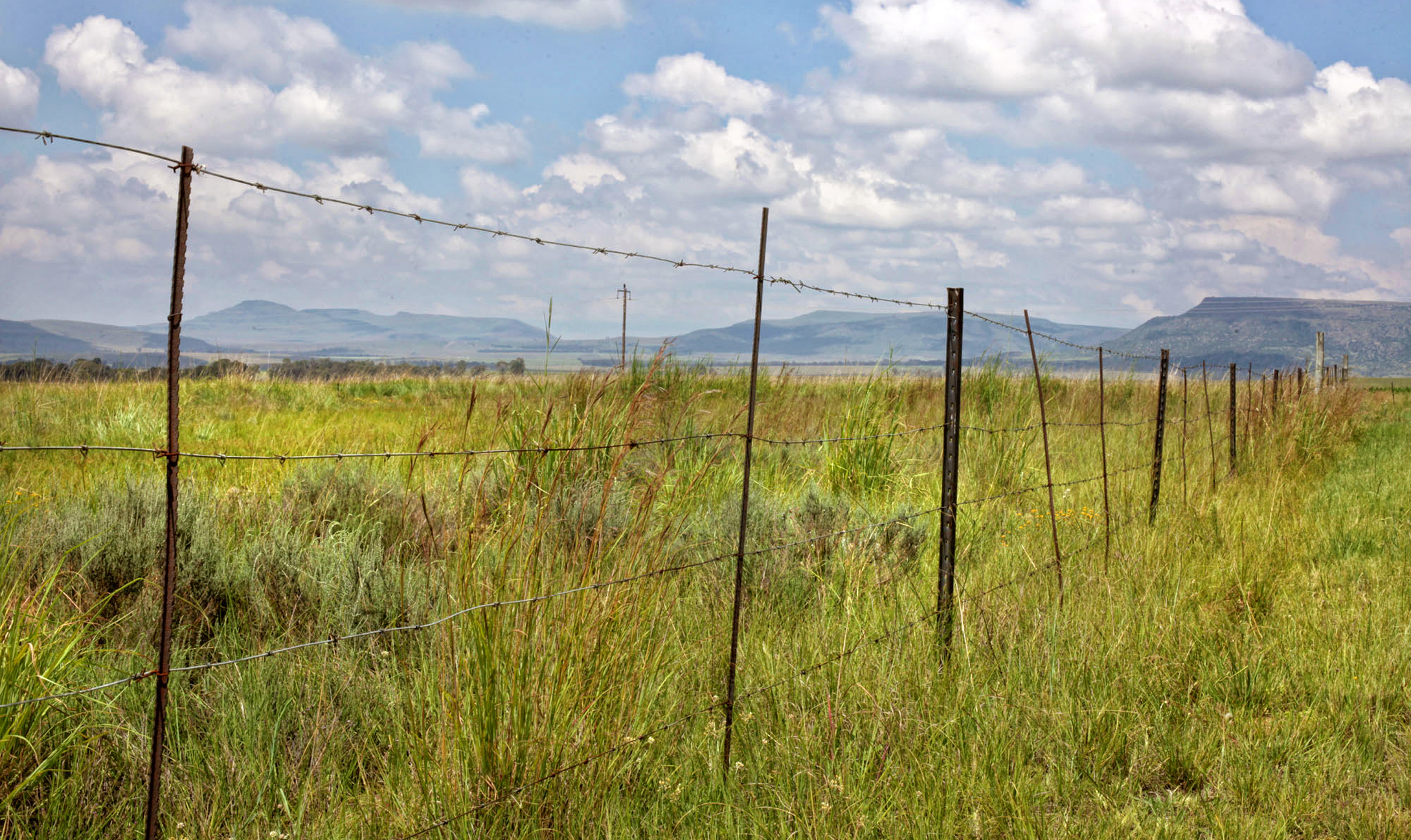 State capture witness claims Vrede cops turned him away when he reported harassment from Zwane’s 'personal force'