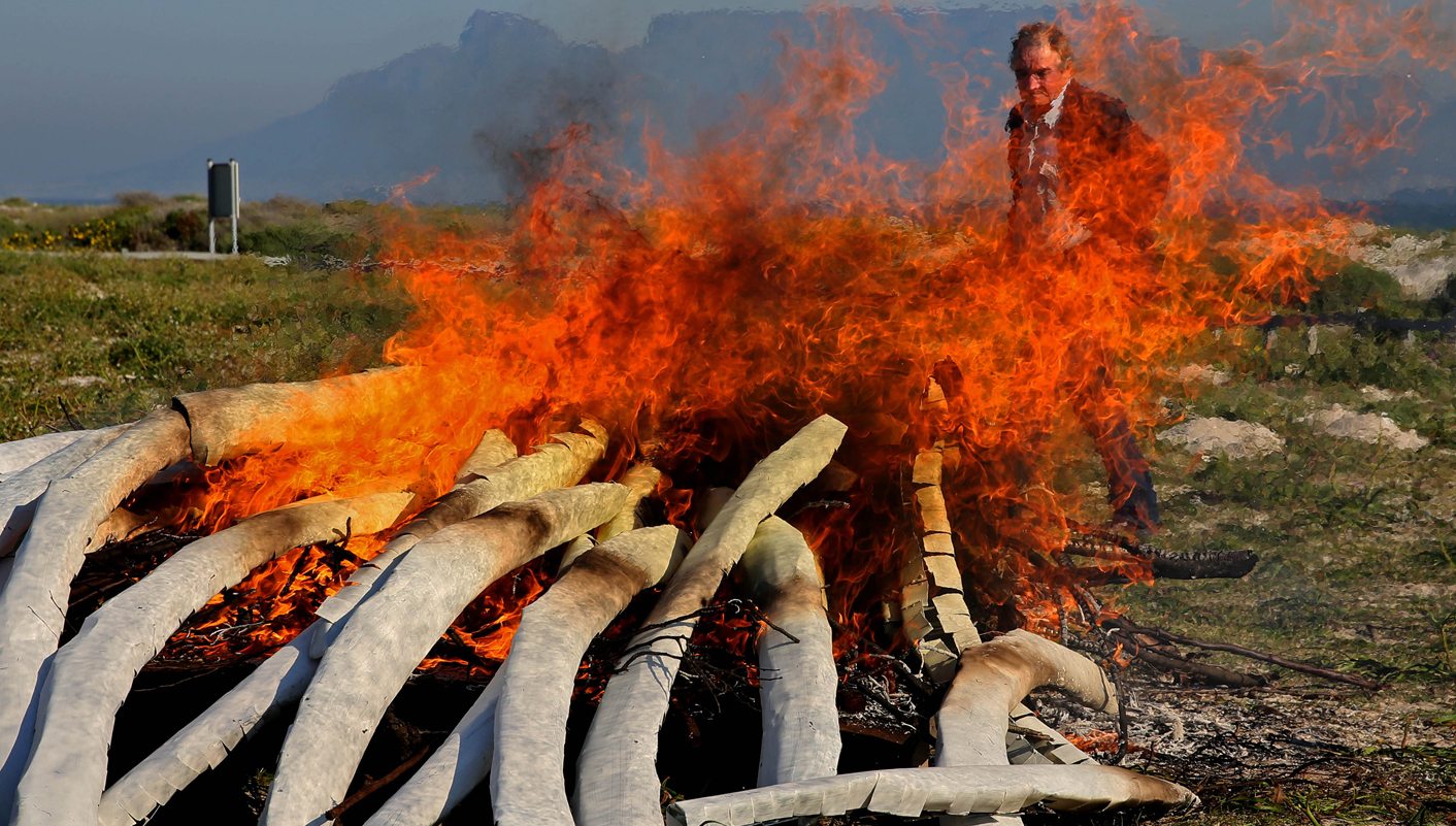 World Elephant Day: A chance to renew efforts to save Africa’s great grey beasts