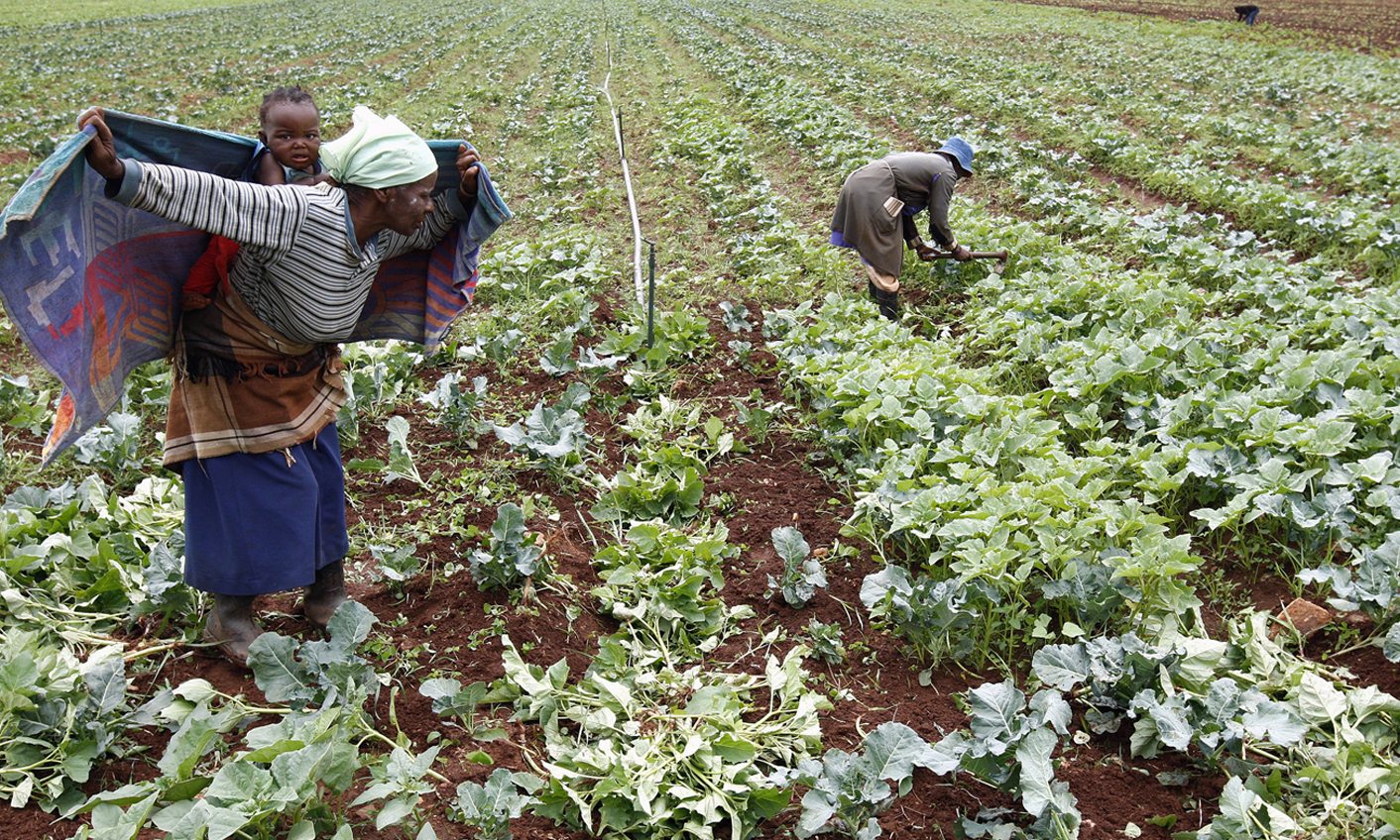 Land, firebrands and grandstands: just another day in Parliament