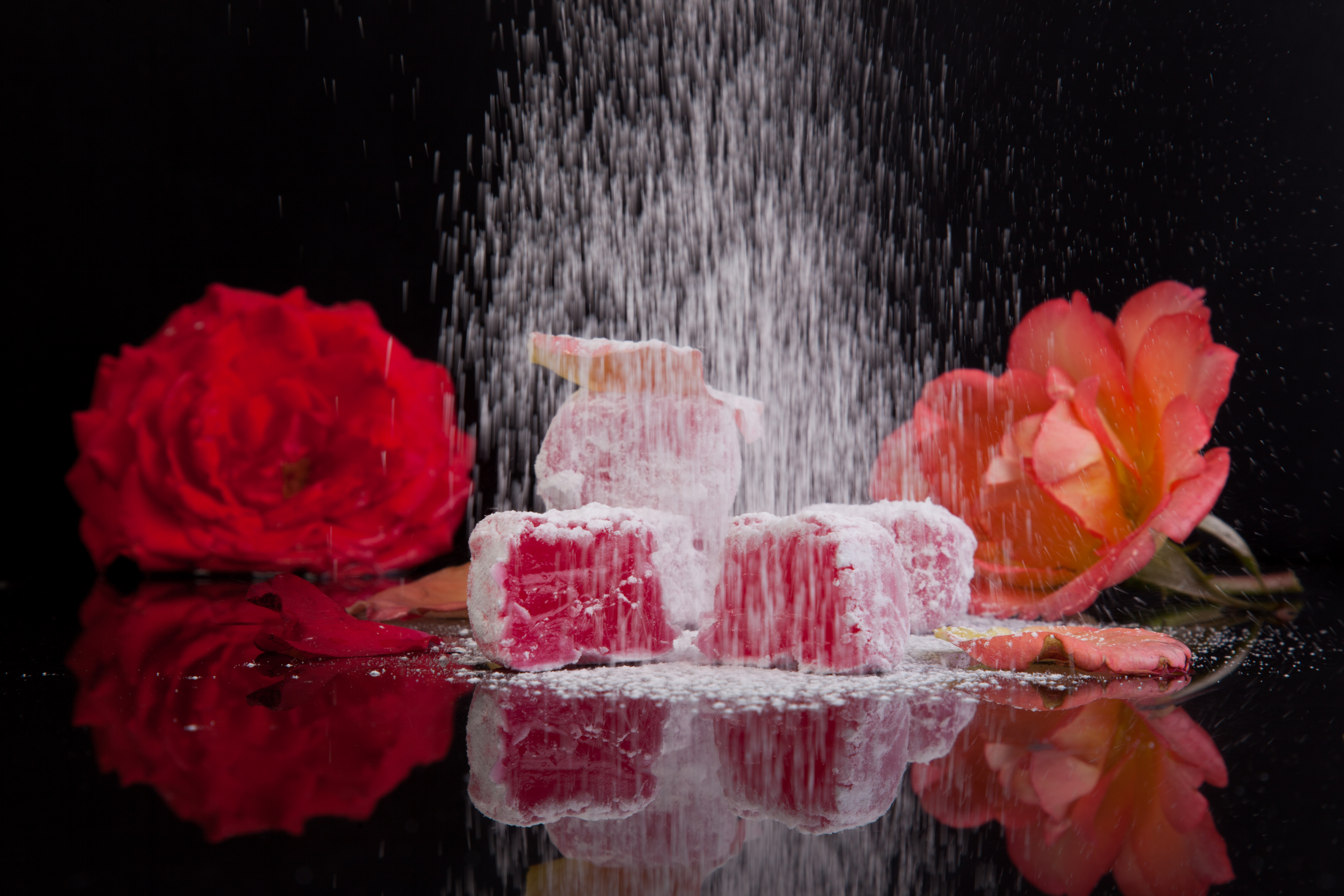 The Fame of the Rose