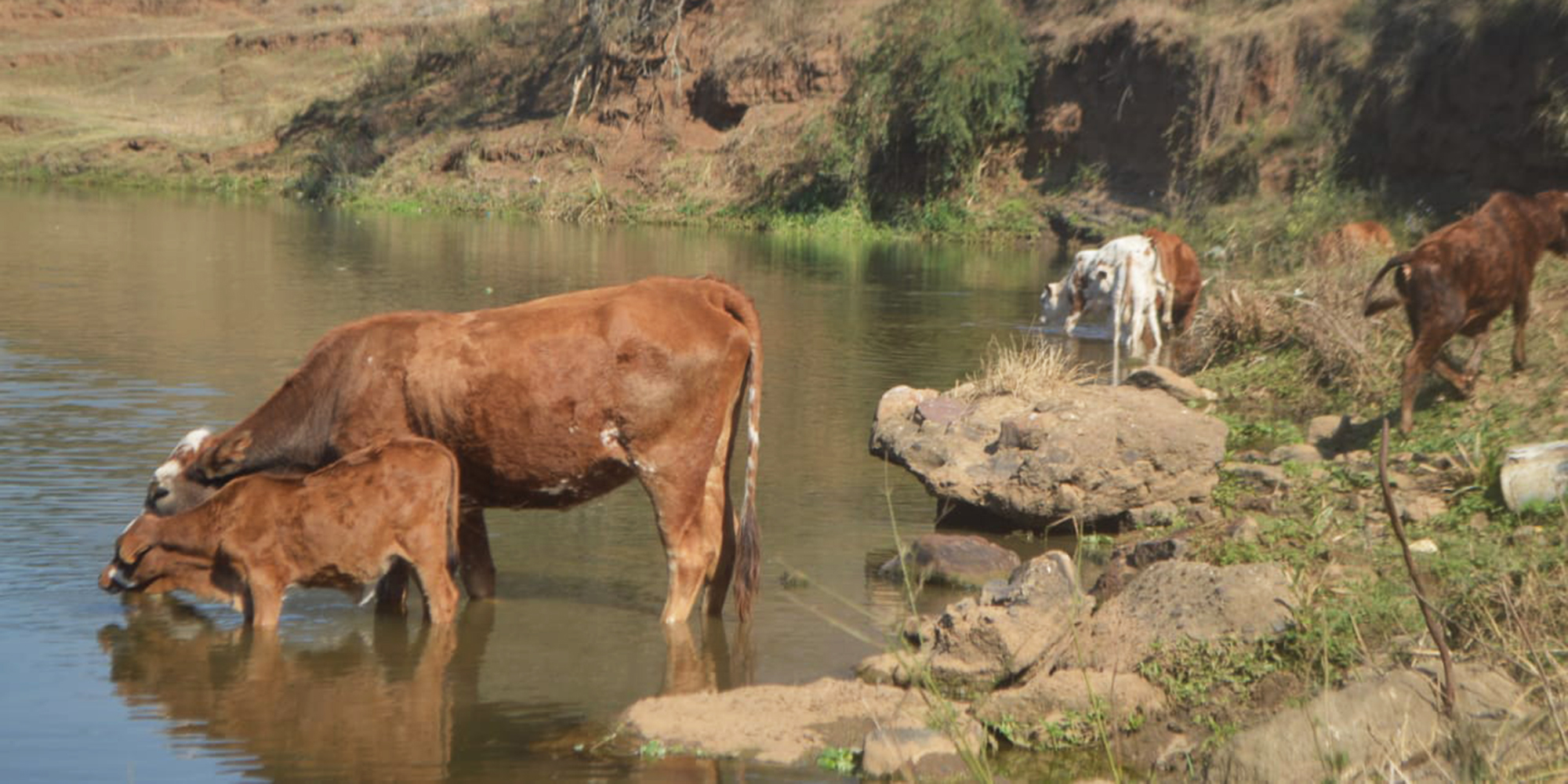 uMsunduzi River spill: Small-scale farmers worry they will not be compensated for ‘losses’