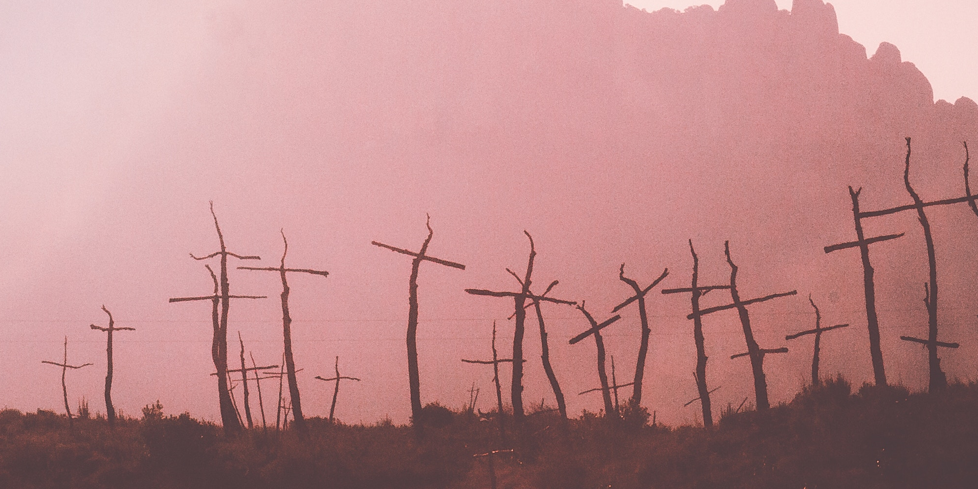 If the voice of the people is the voice of God, listen to us, President Mnangagwa