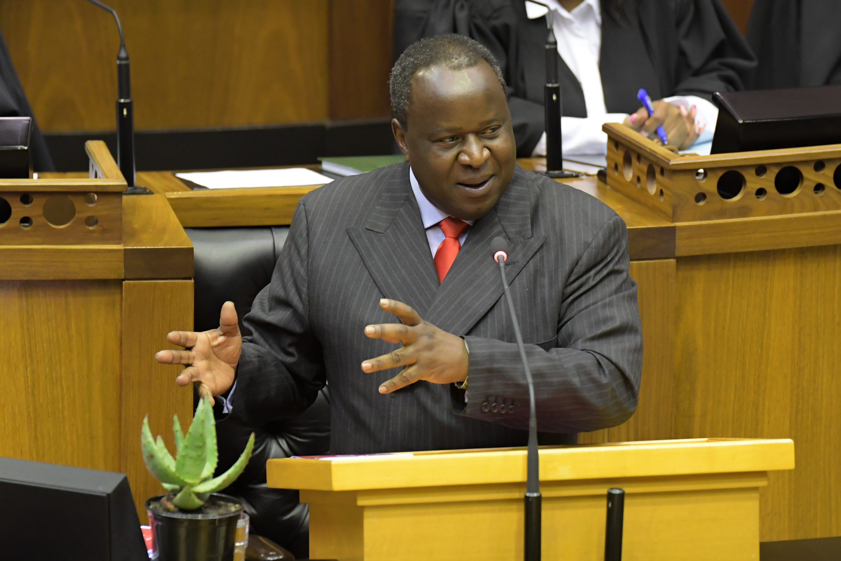 The bitter aloe test: SA is drowning in debt