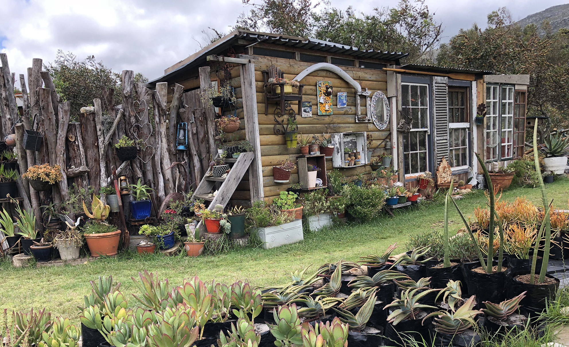 The crooked little scone shack made of old windows