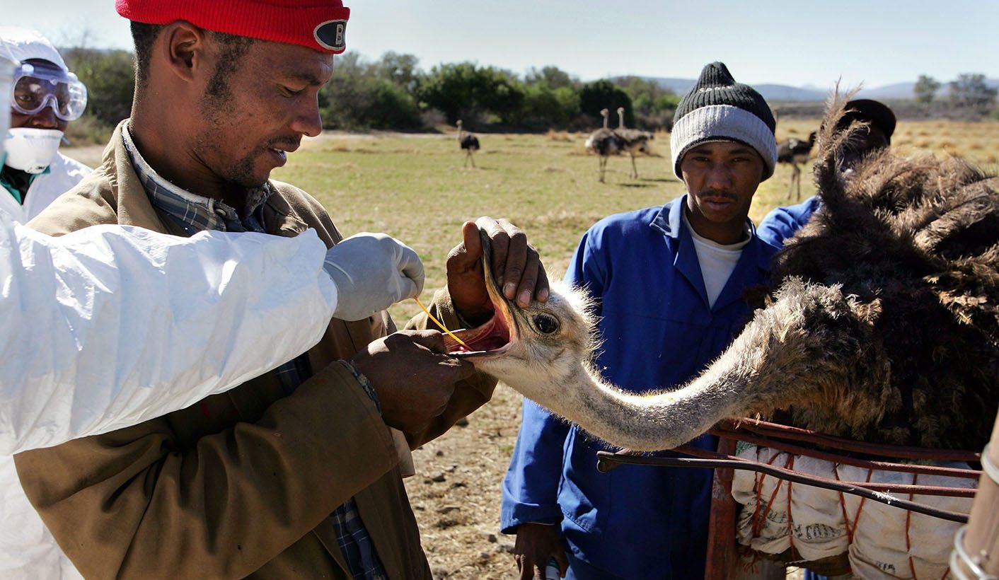 Quality and safety must be controlled to protect food sector and consumers