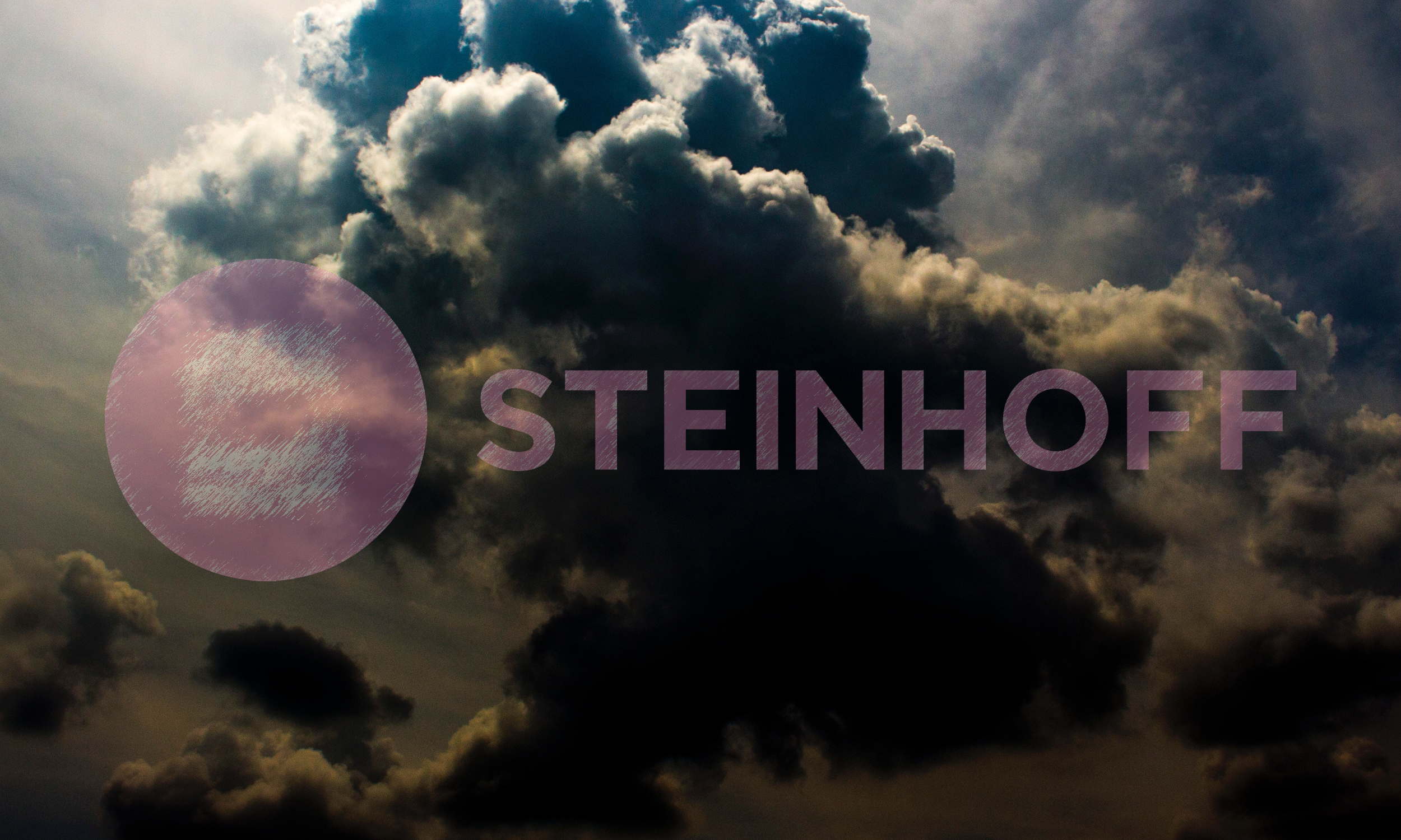 steinhoff