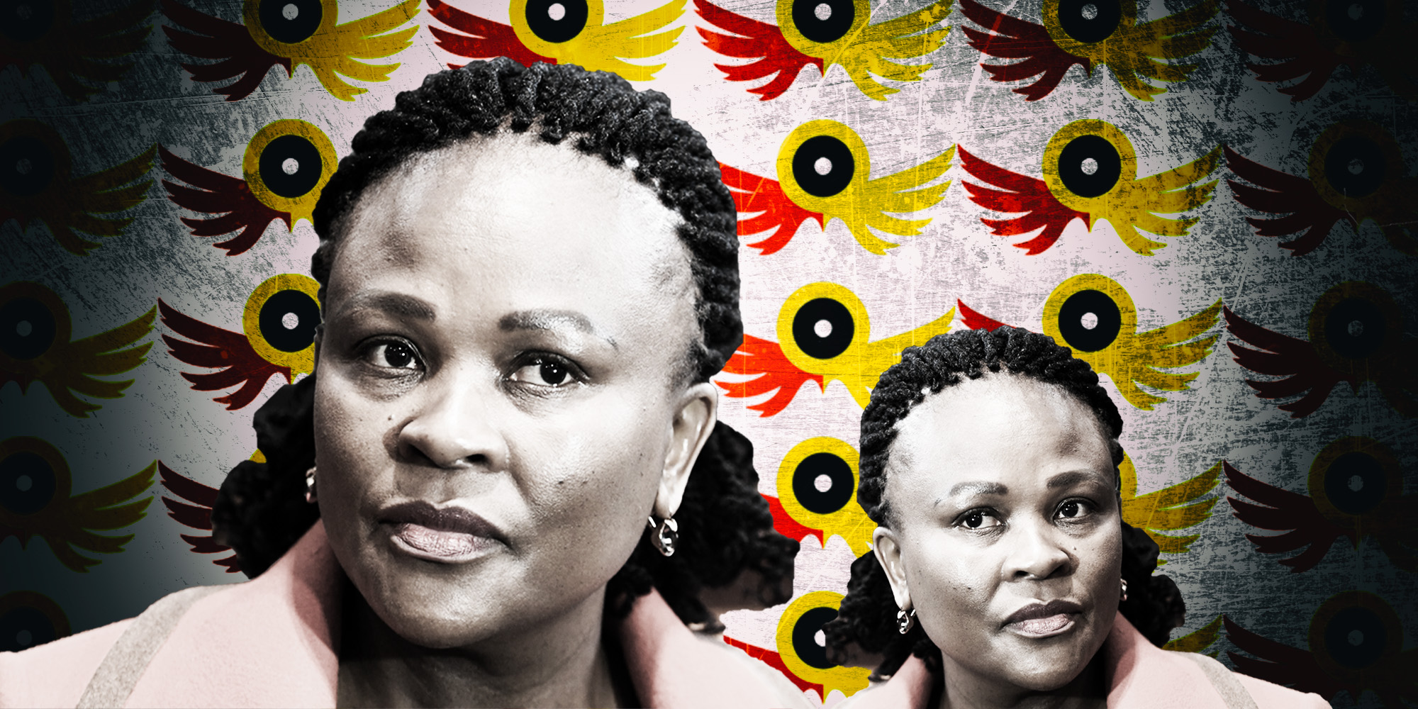Hawks vs Public Protector in public showdown