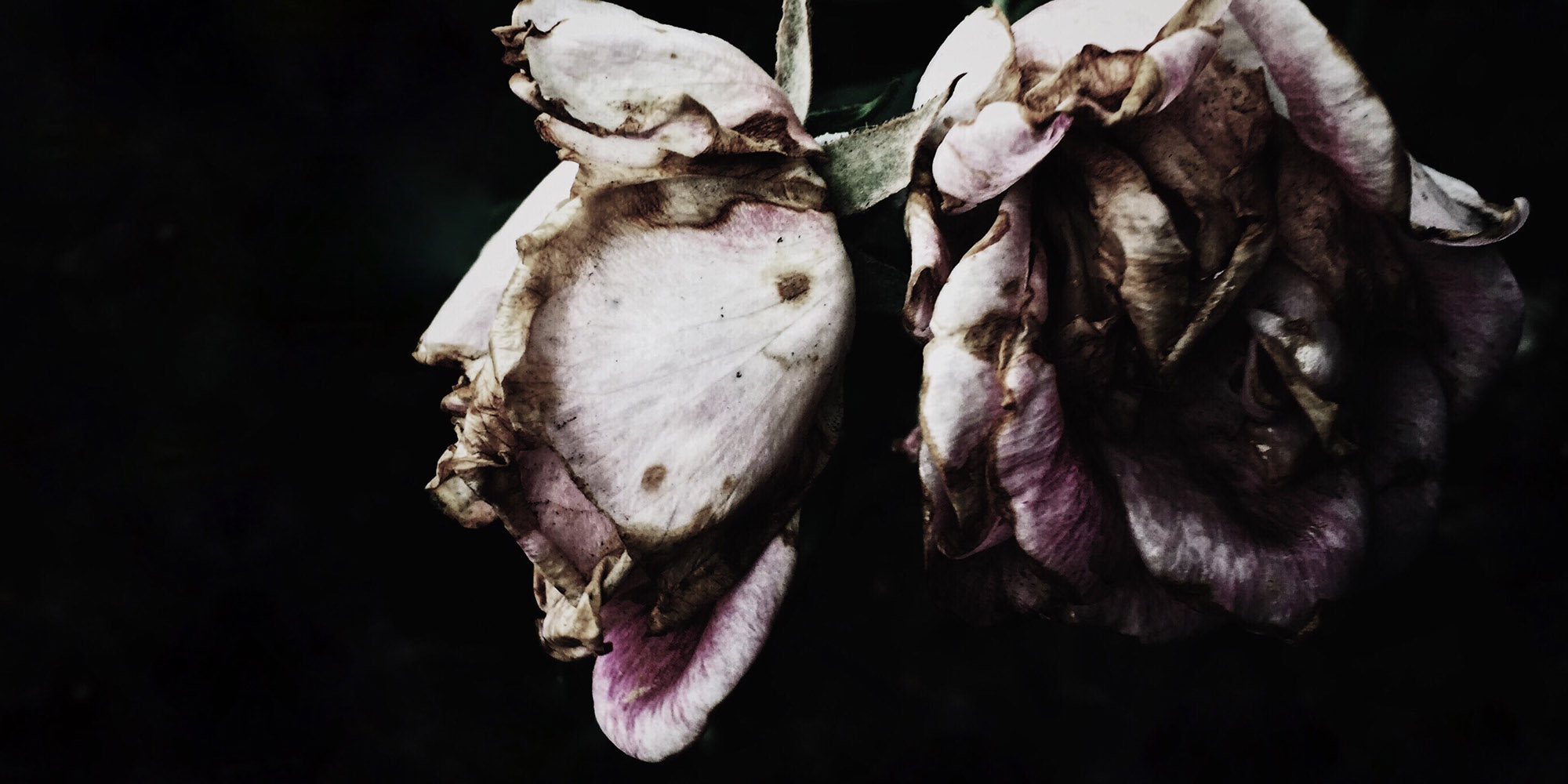 ‘Western Cape is the most dangerous place for children’